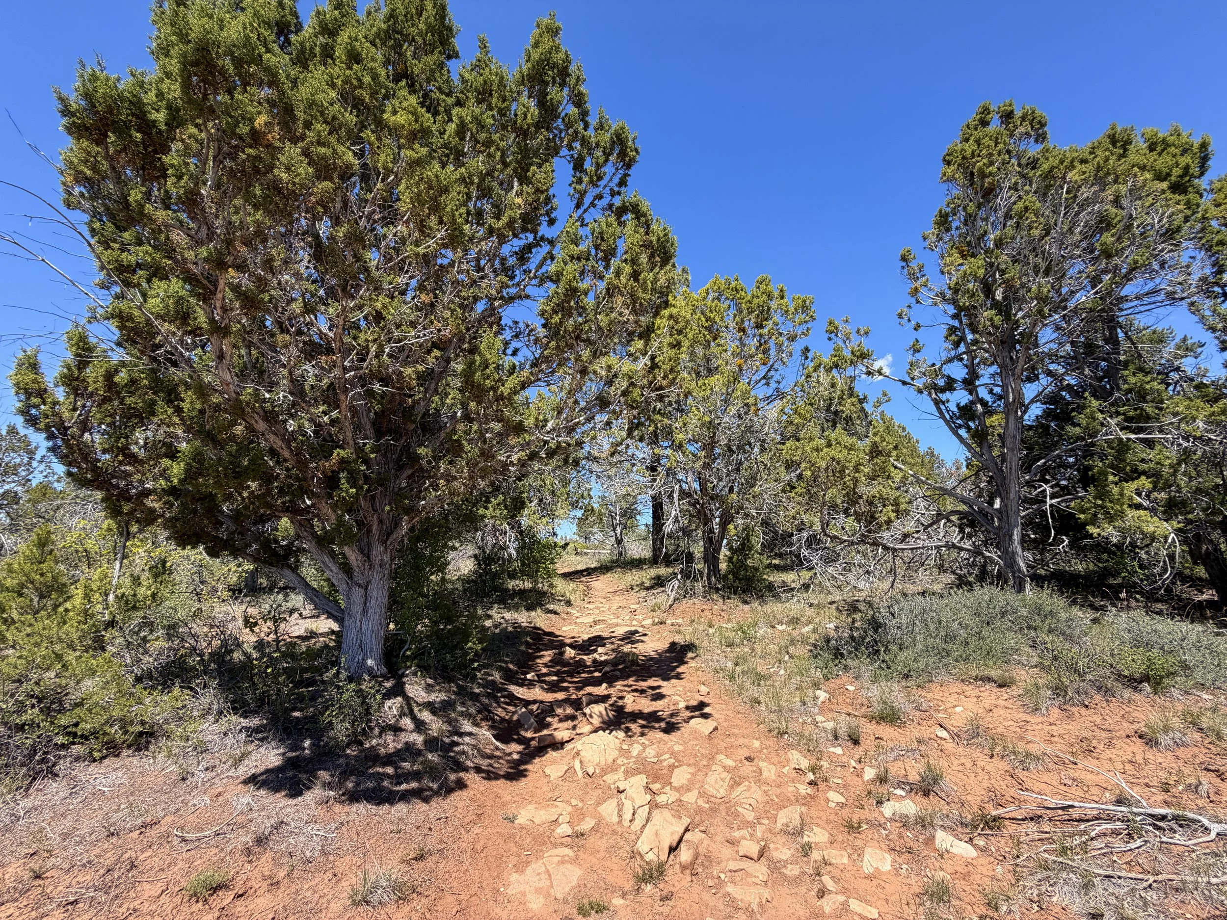 Cable Mountain Trail Zion National Park Utah