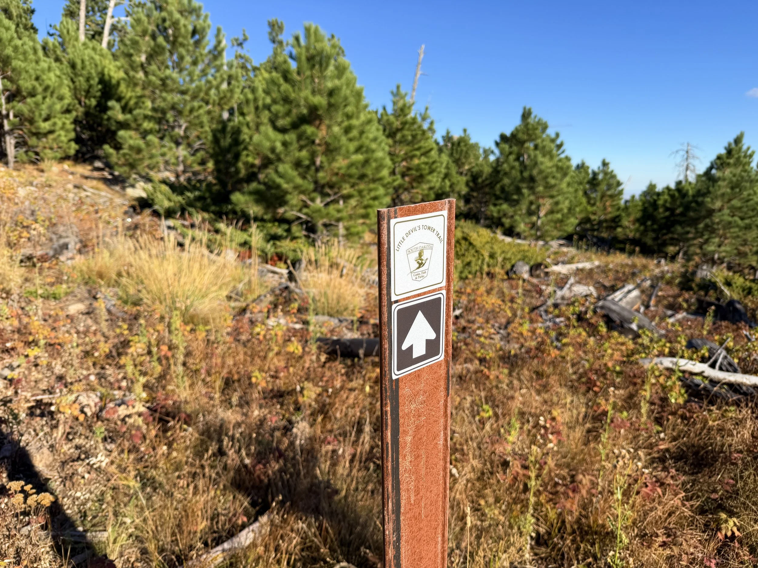 Little Devils Tower Trail Custer State Park Black Hills South Dakota