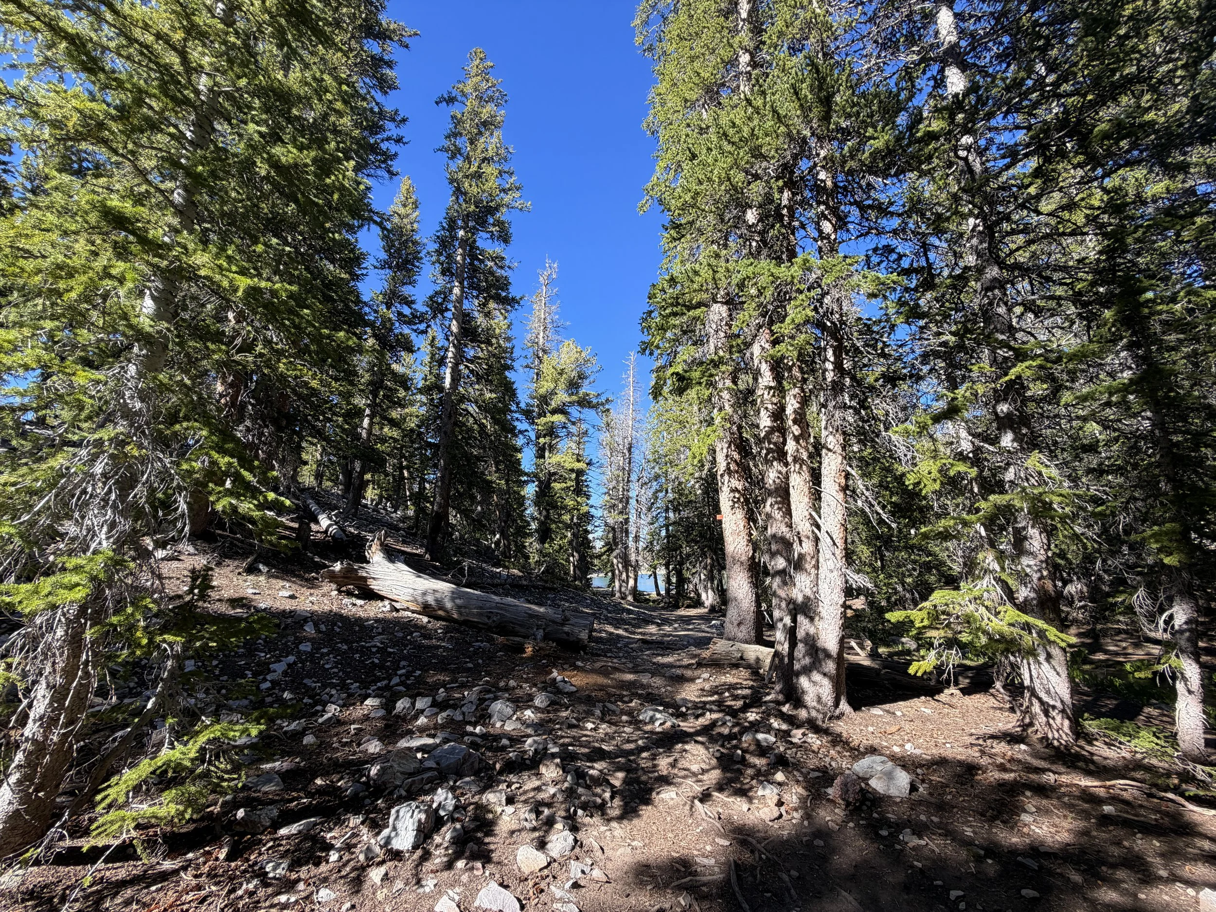 Alpine Lakes Loop Trail Great Basin National Park Nevada