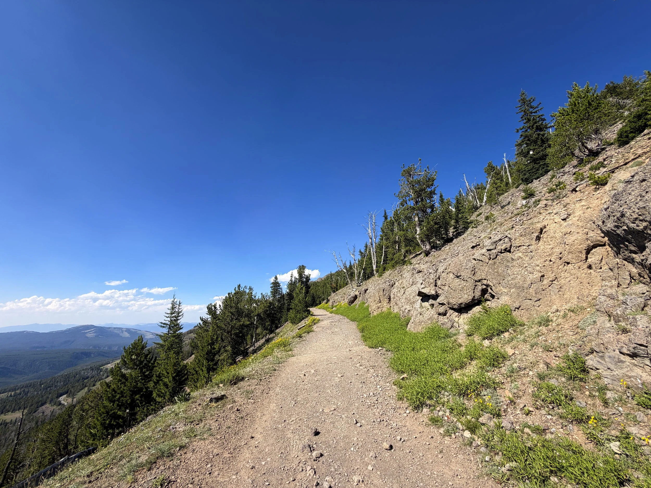 Mt. Washburn Hike via Dunraven Pass Yellowstone National Park Wyoming