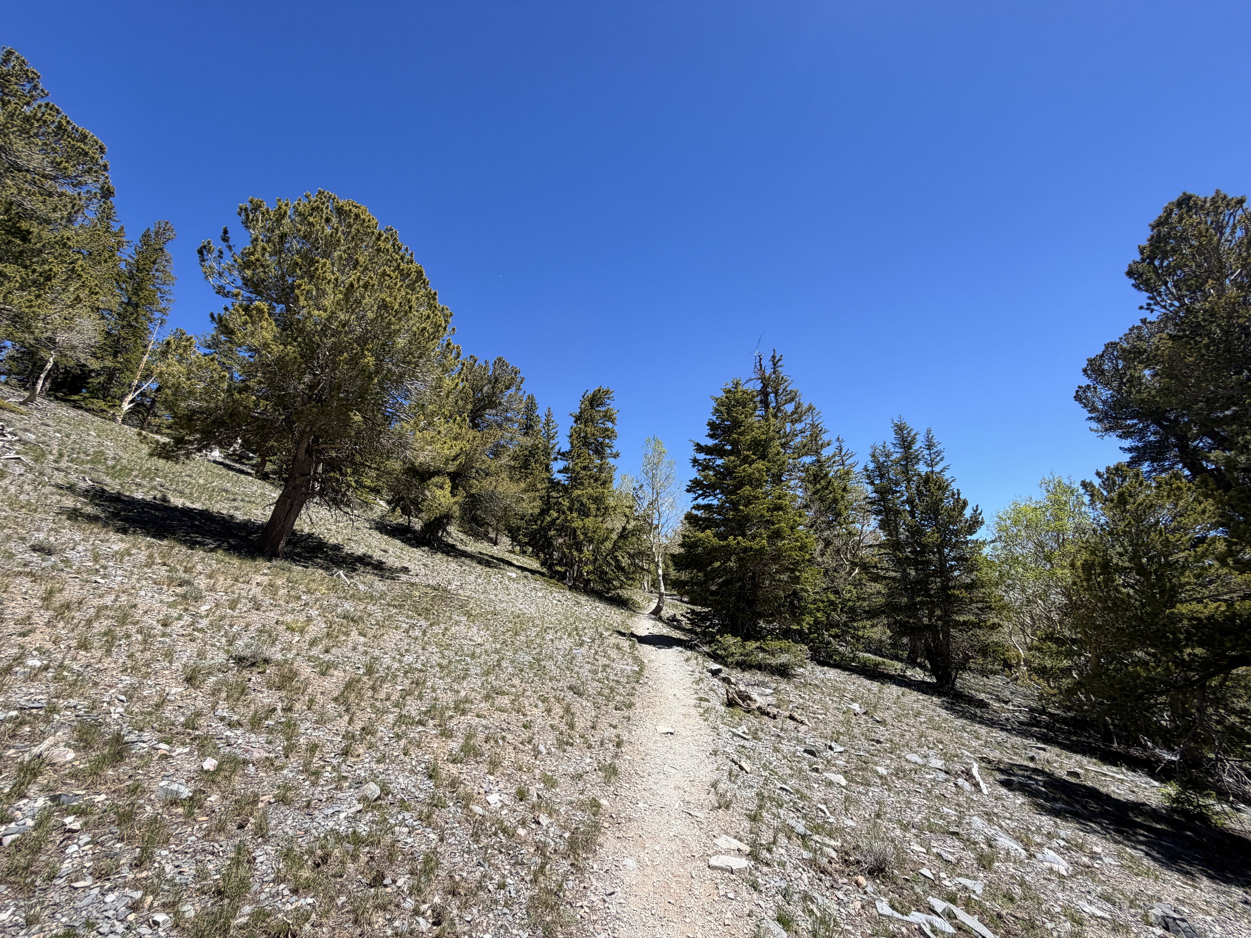 Wheeler Peak Trail Great Basin National Park Nevada