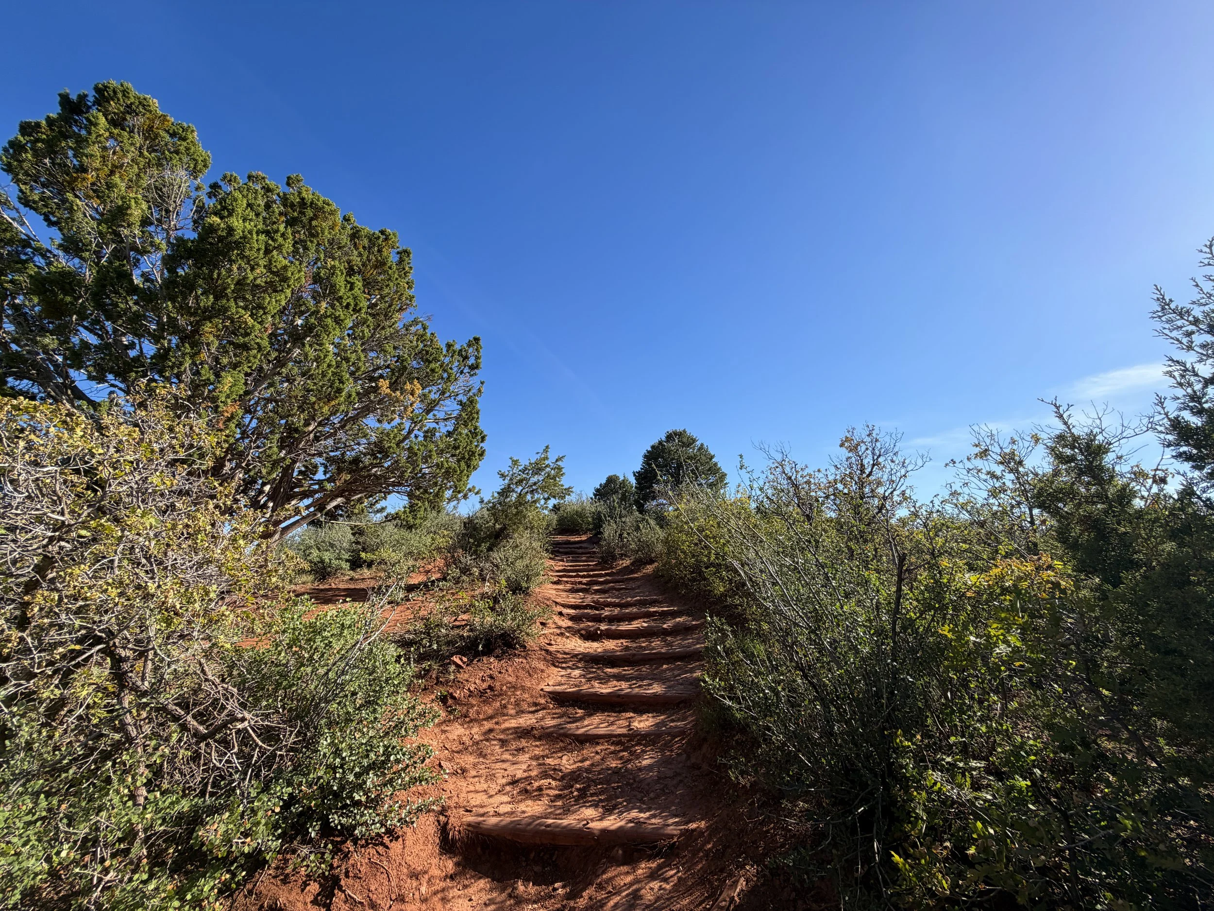 Timber Creek Overlook Trail Zion National Park Utah
