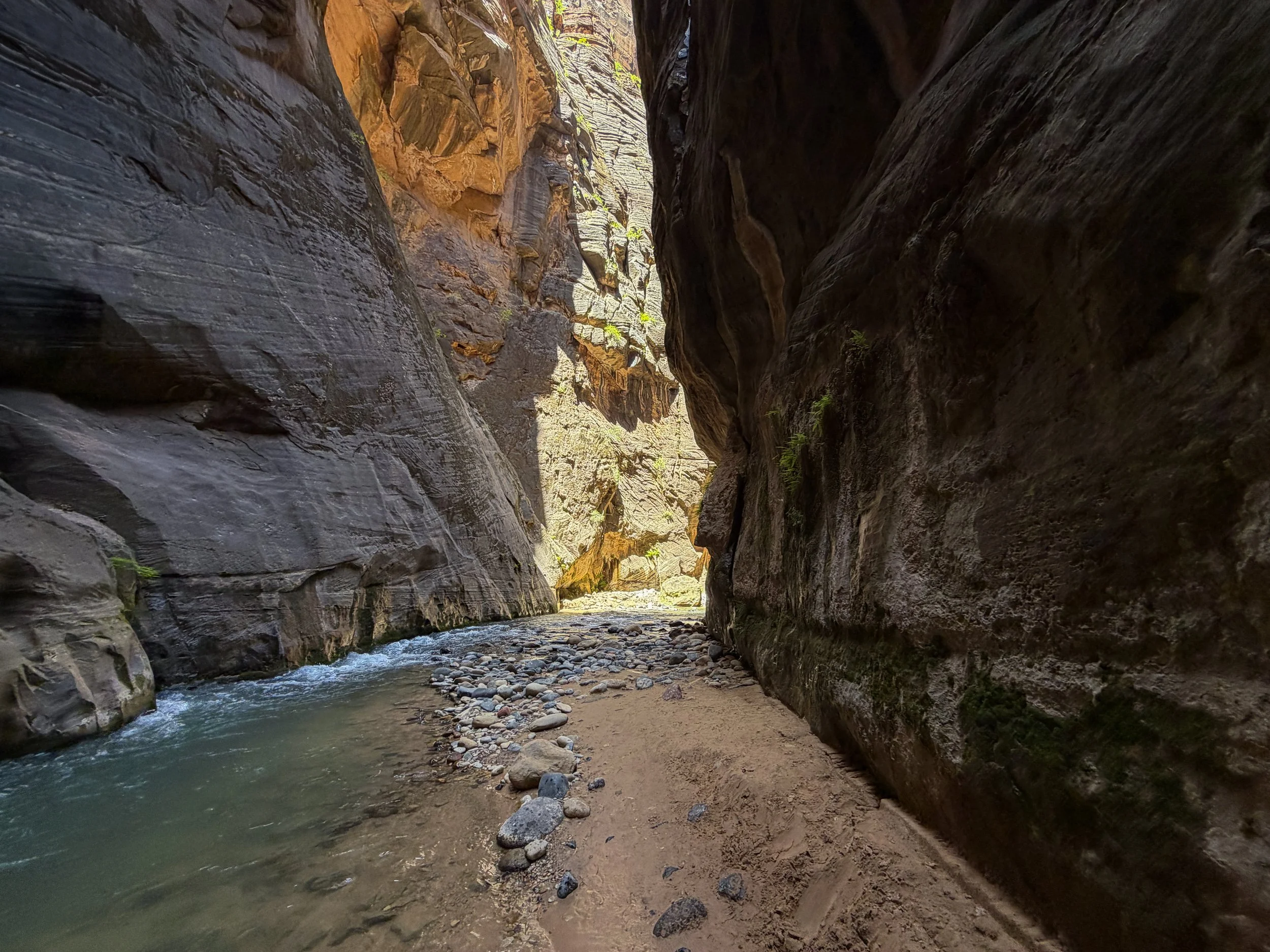 Wall Street Narrows Hike Zion National Park Utah