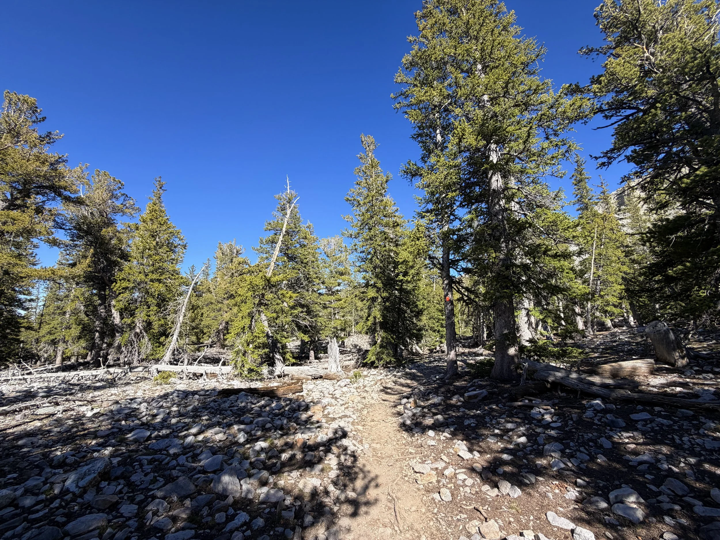 Alpine Lakes Loop Trail Great Basin National Park Nevada