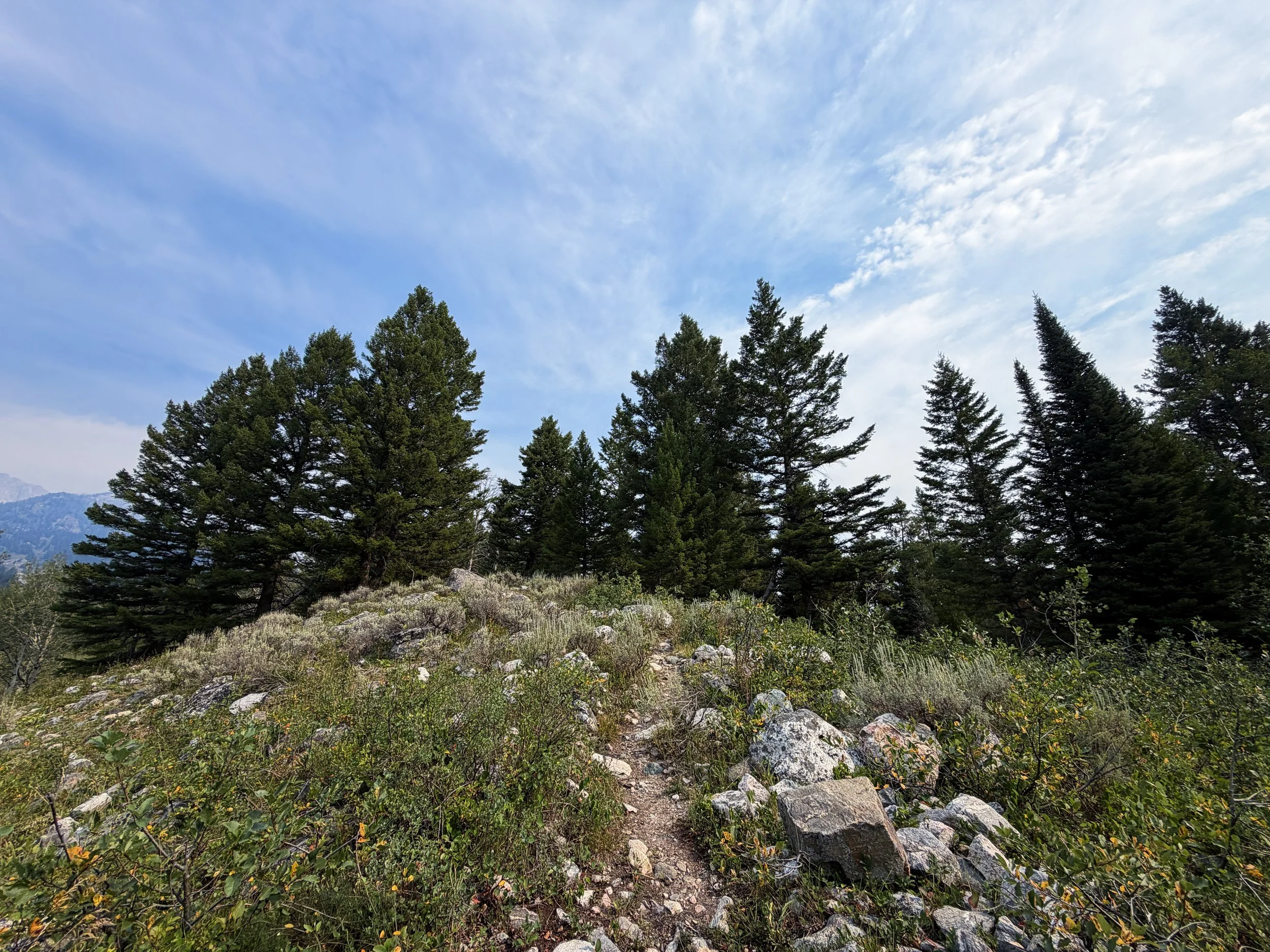 Aspen Ridge Loop Trail Grand Teton National Park Wyoming