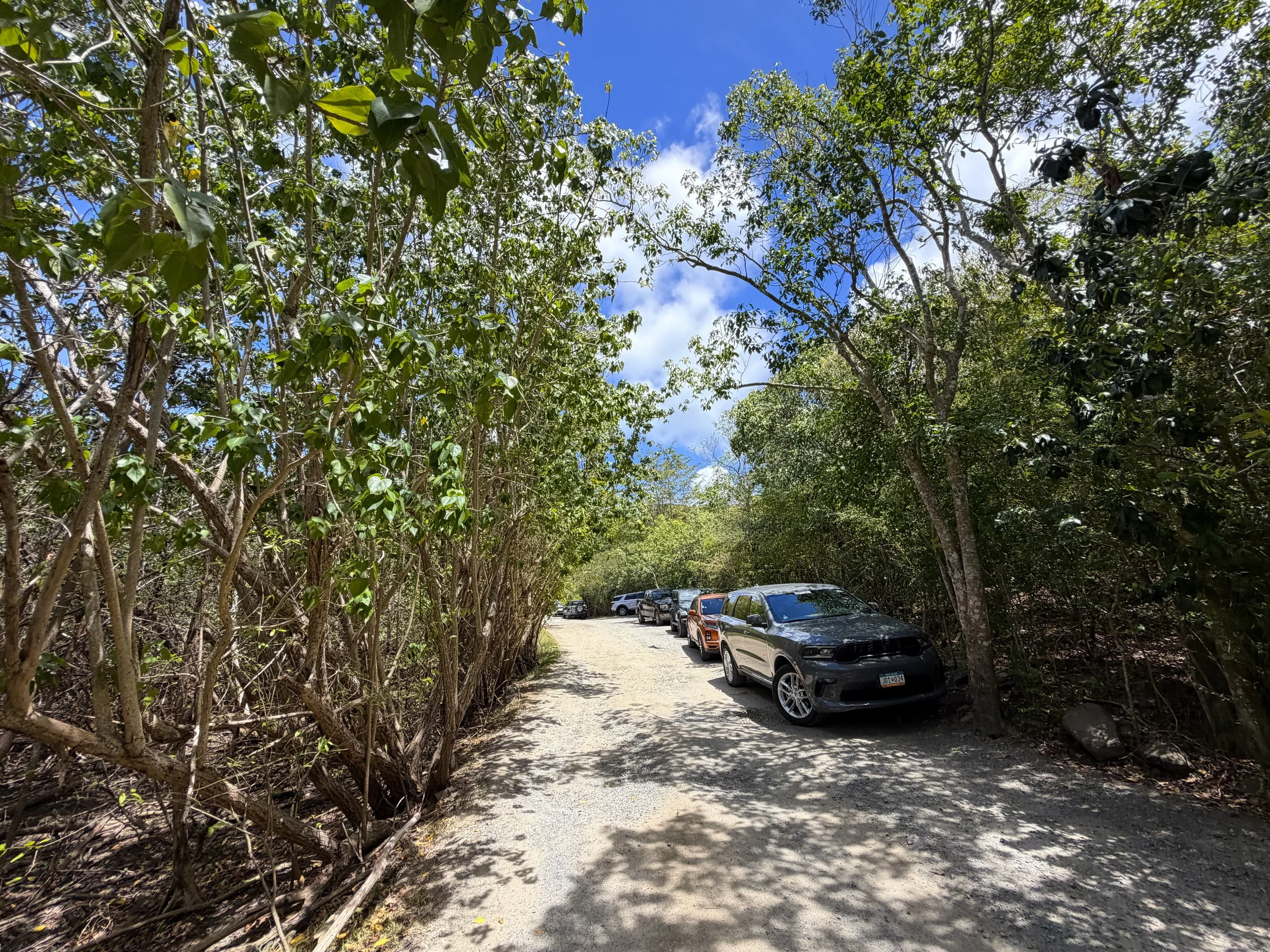 Francis Bay Trail Virgin Islands National Park