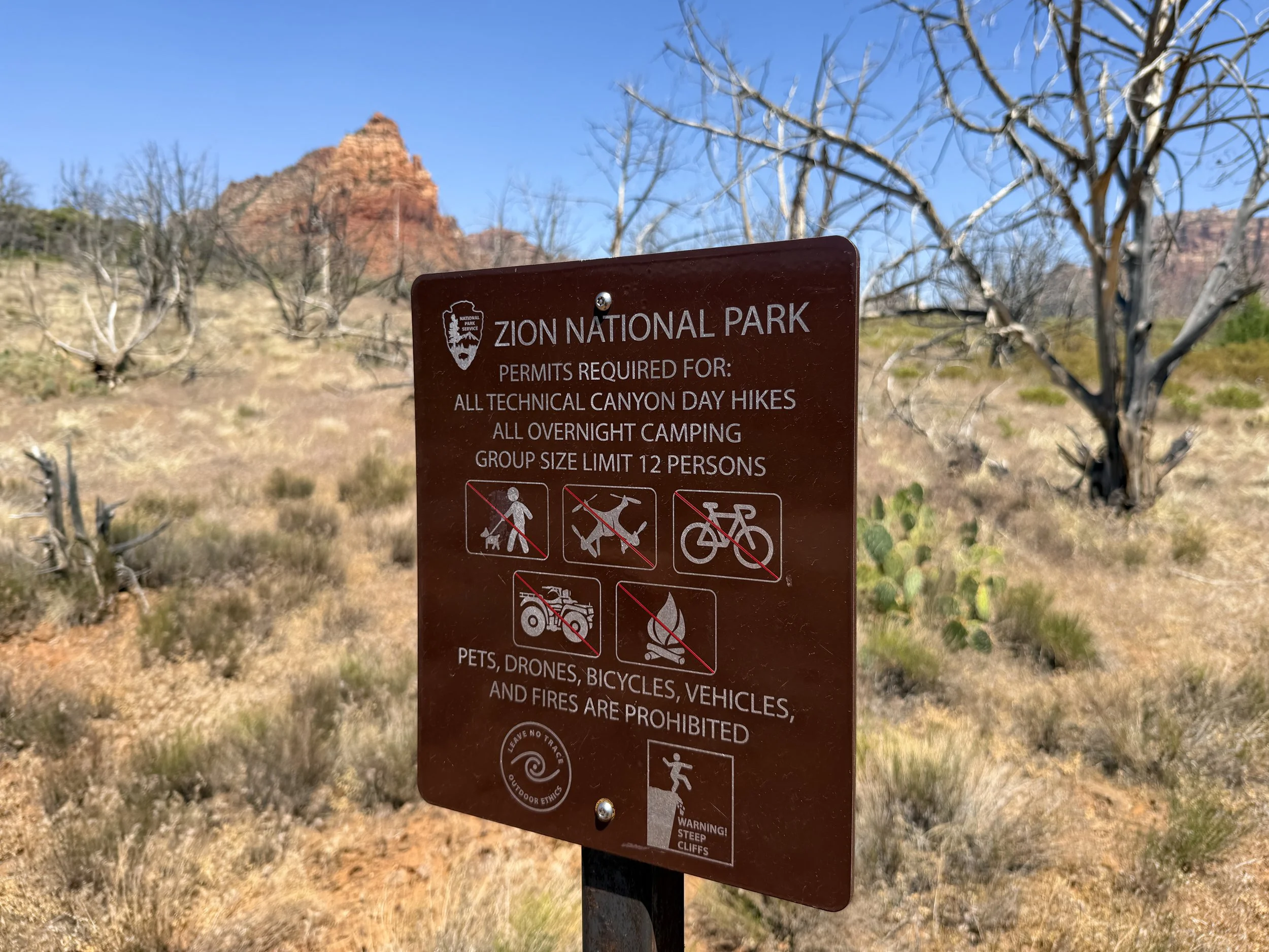 Grapevine Trailhead Zion National Park Utah