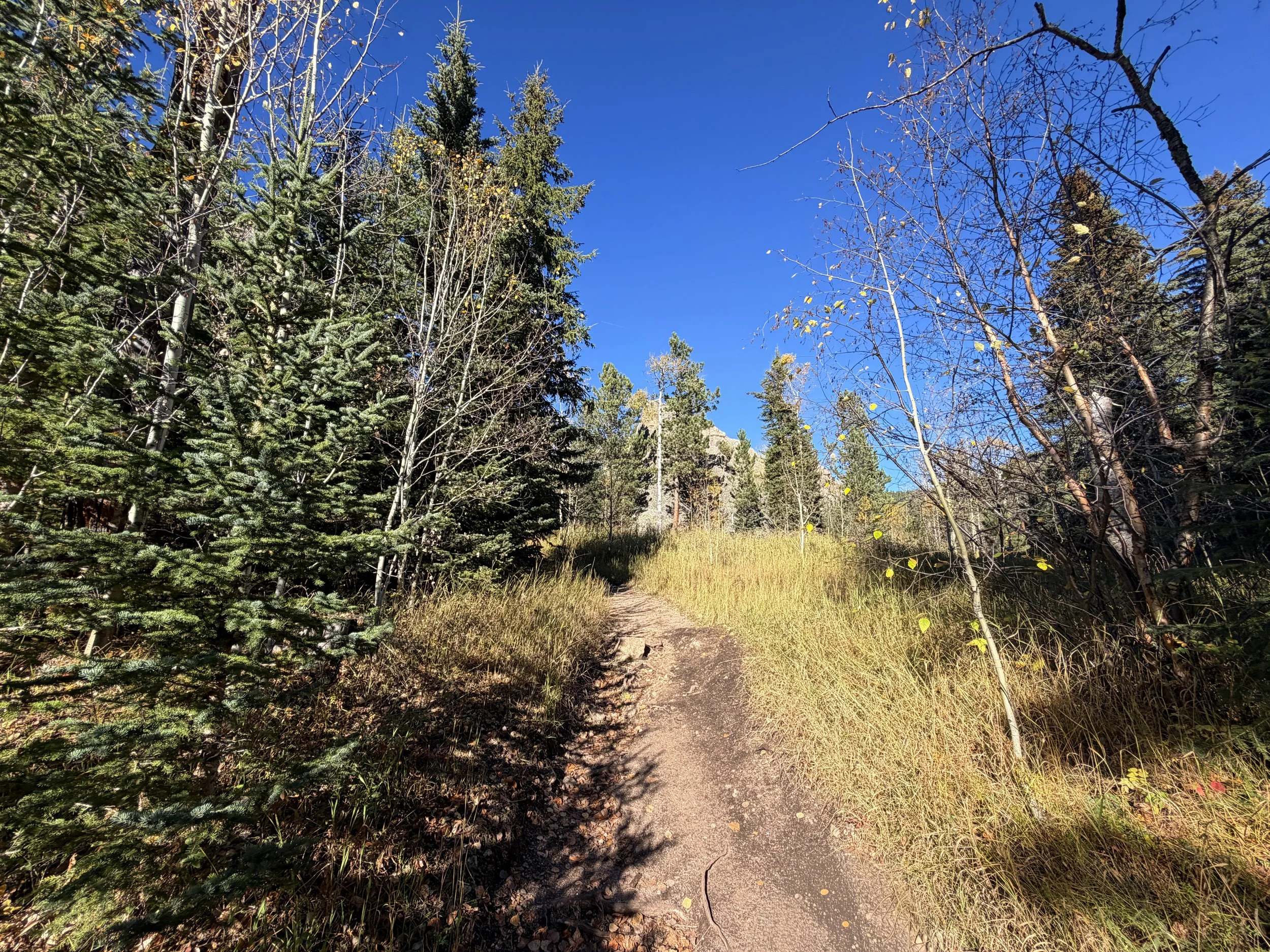 Little Devils Tower Trail Custer State Park Black Hills South Dakota