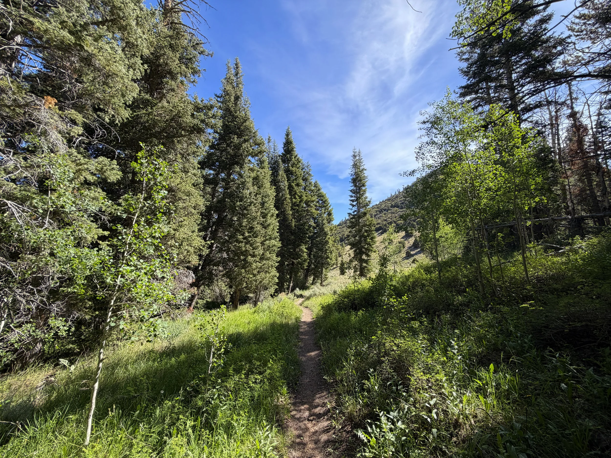 Pole Canyon Loop Hike Great Basin National Park Nevada