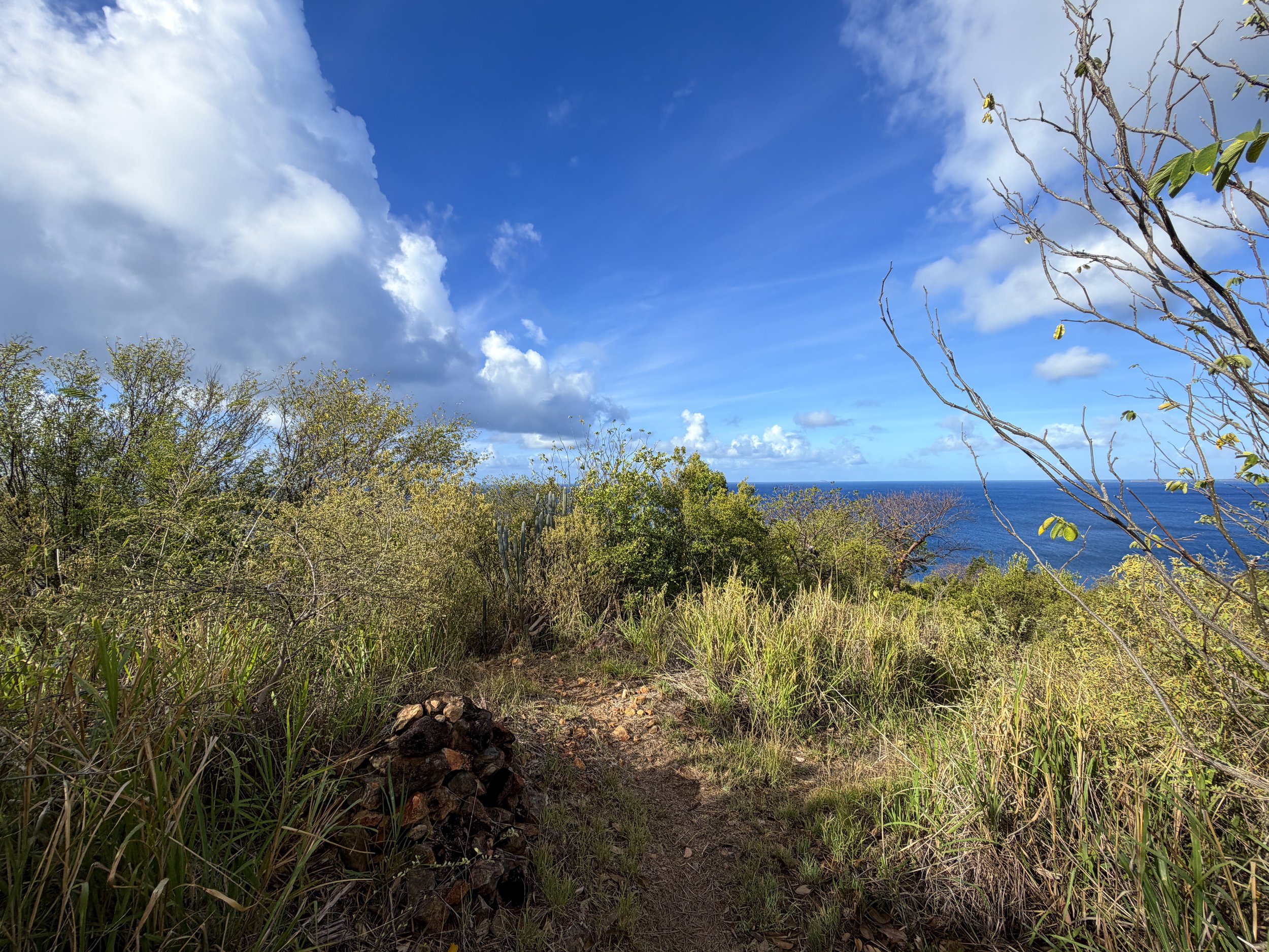Tektite Trail Virgin Islands National Park