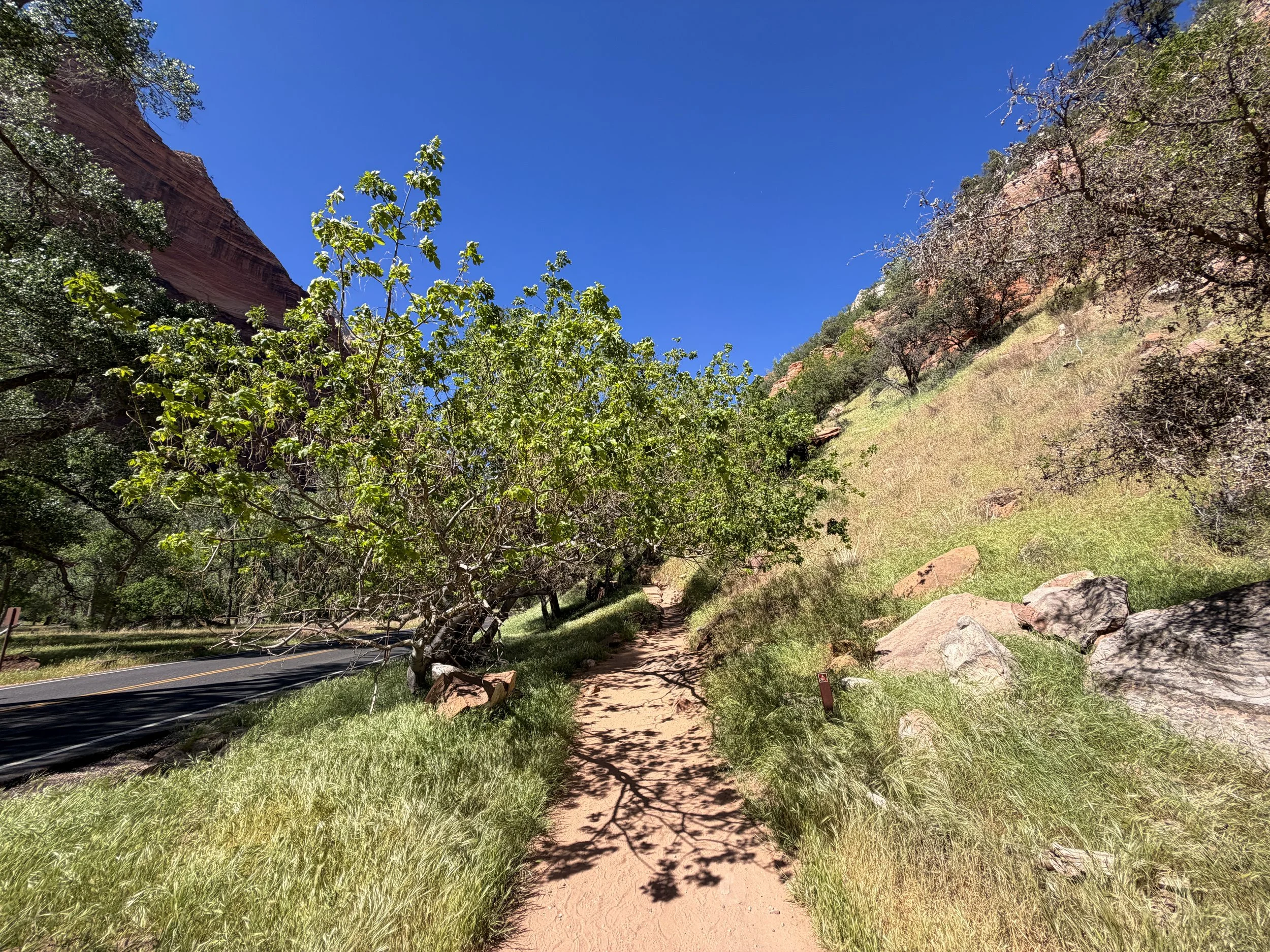 Grotto Trail Zion National Park Utah
