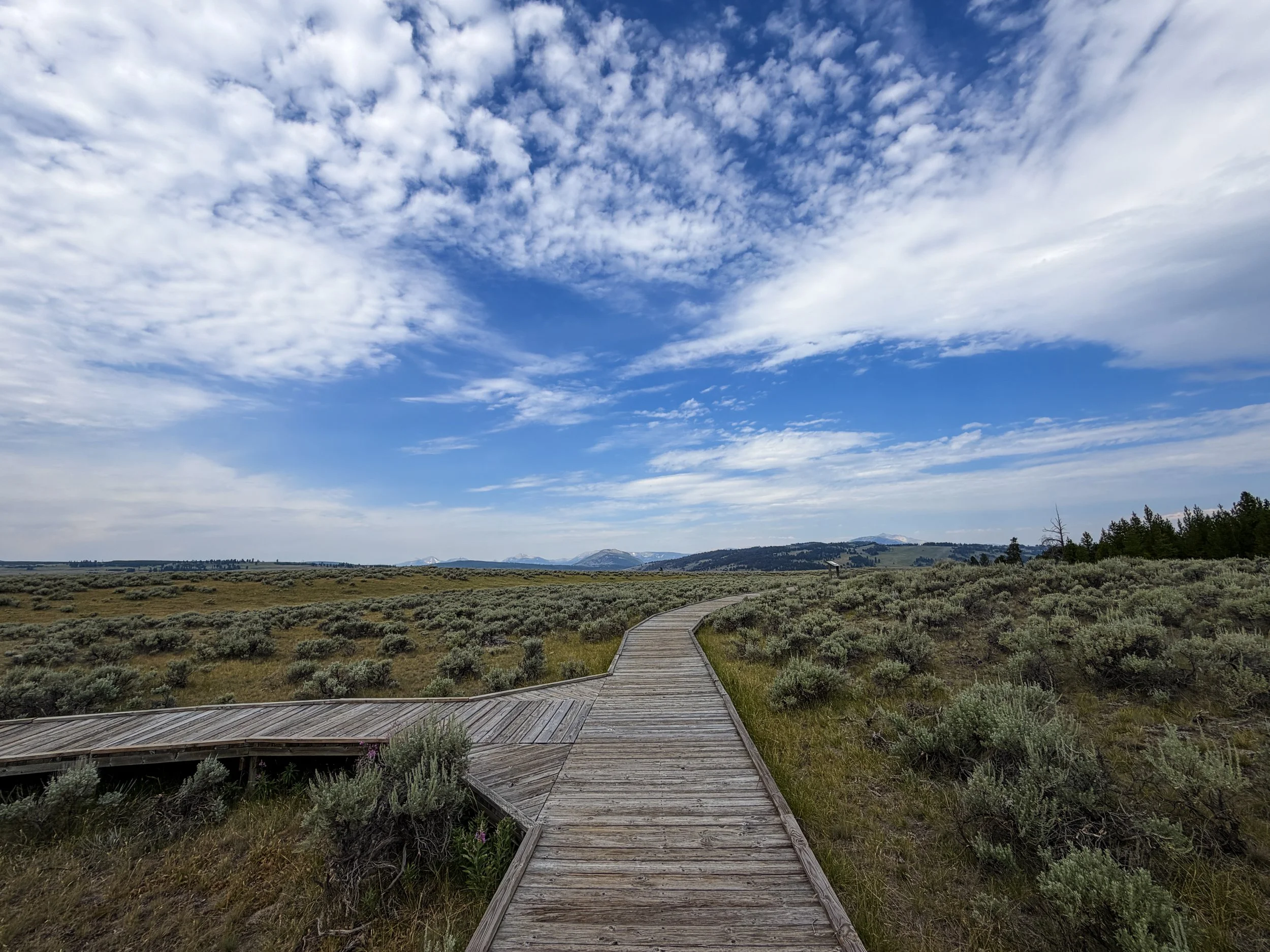 Forces of the Northern Range Trail Yellowstone National Park Wyoming