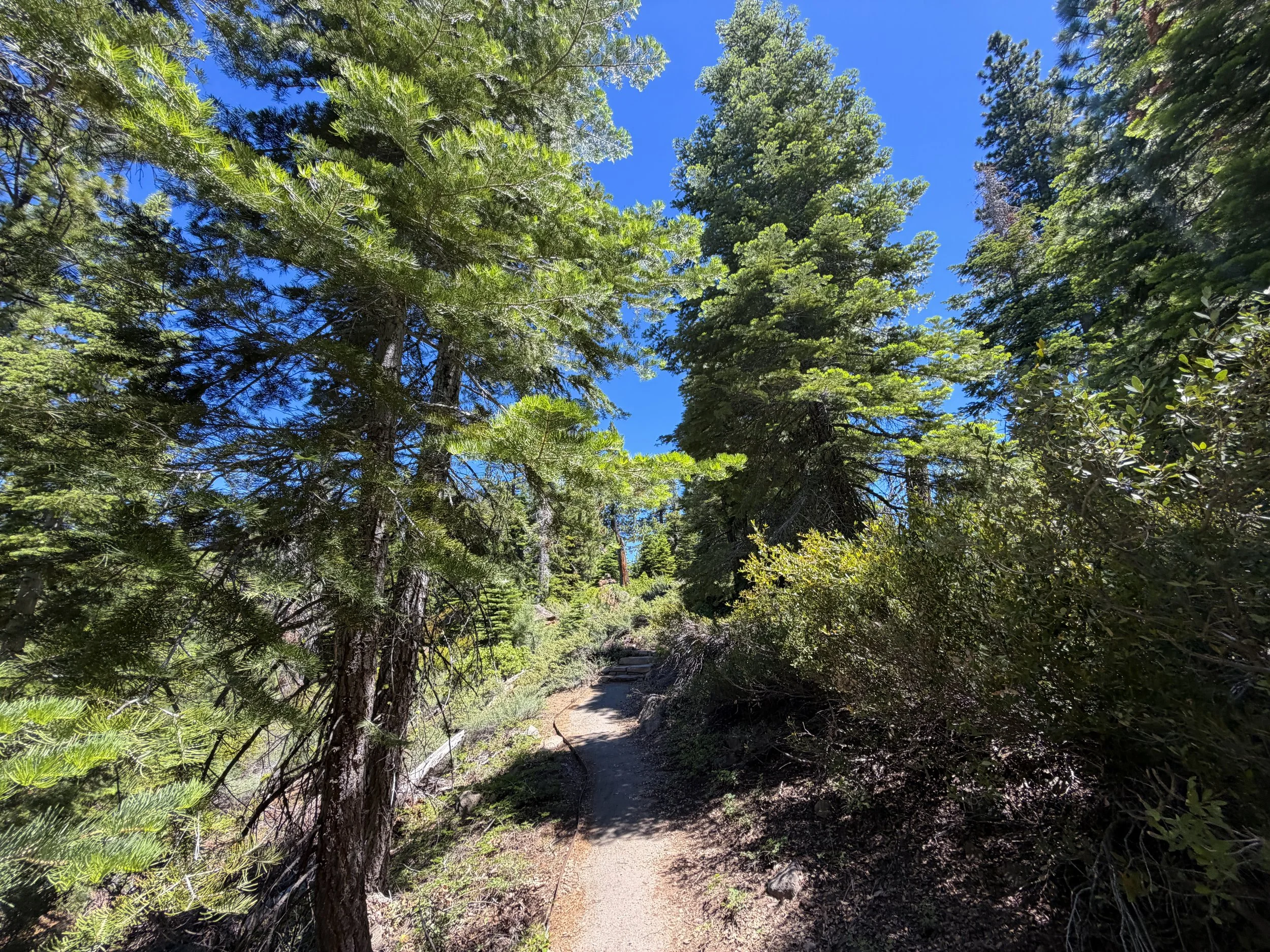 Stateline Fire Lookout Trail Lake Tahoe California