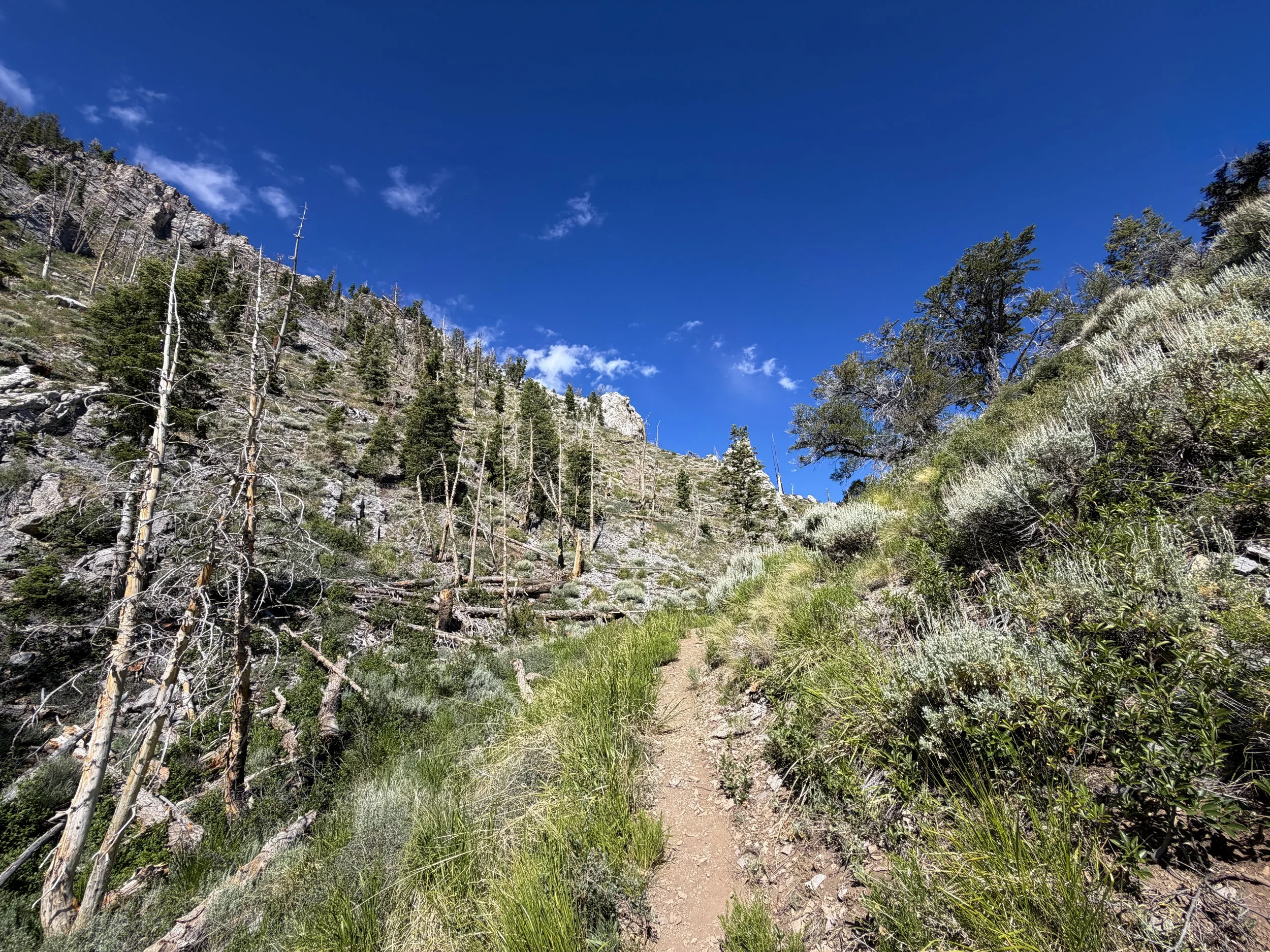 Lexington Arch Trail Great Basin National Park Nevada
