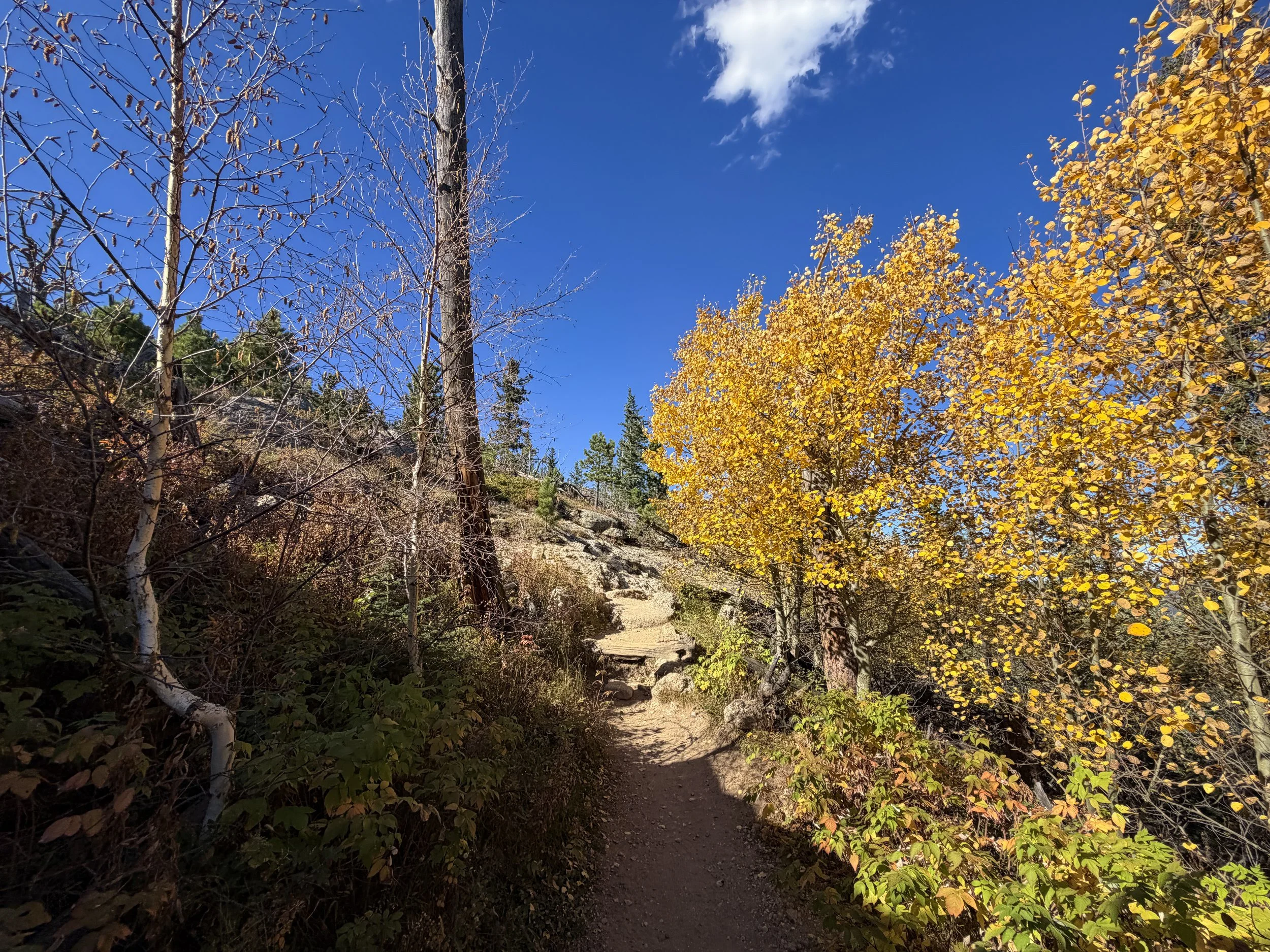 Black Elk Peak Trail to Harney Peak Lookout Black Hills South Dakota