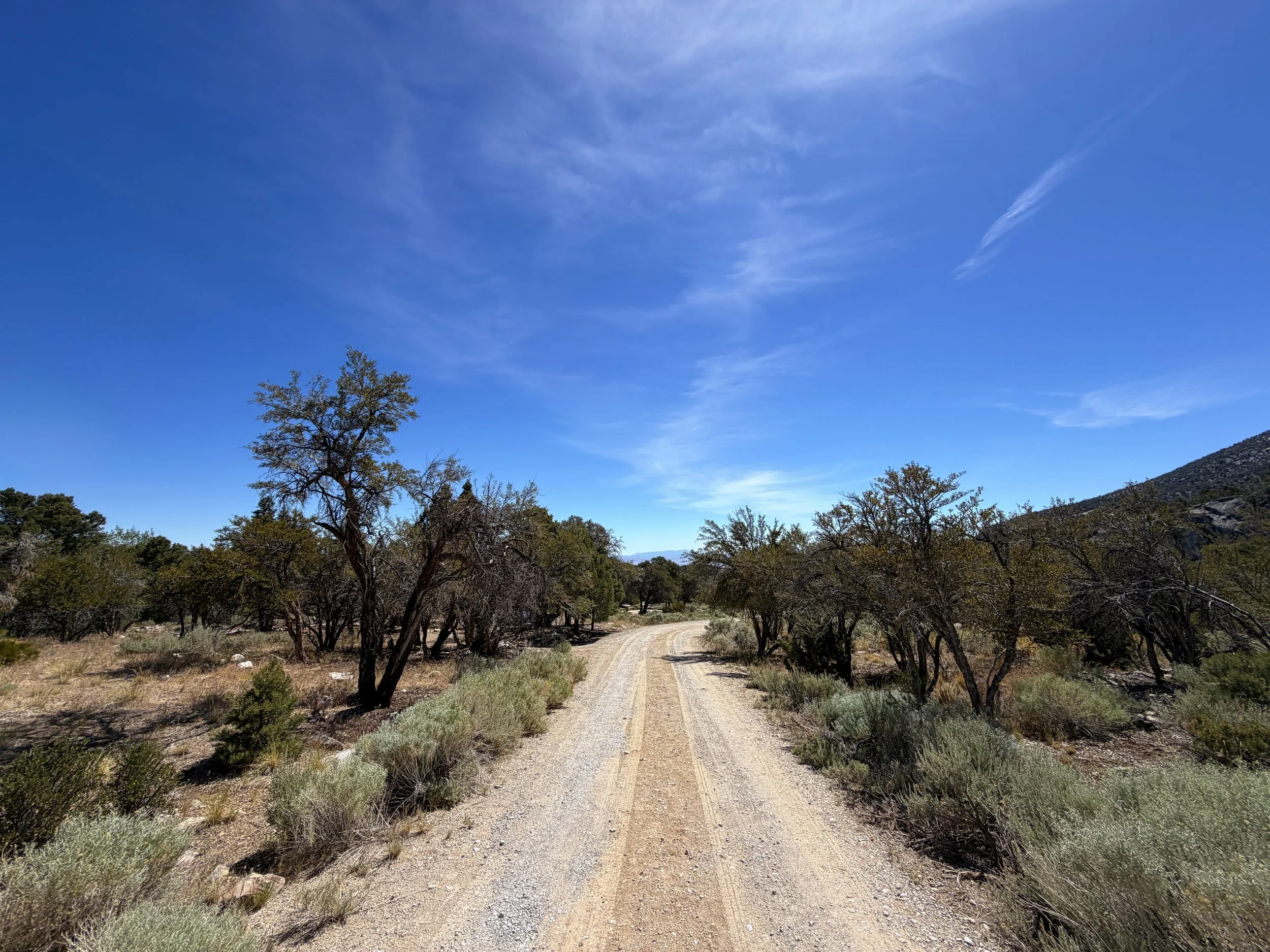 Grey Cliffs Campground Pole Canyon Trail Great Basin National Park Nevada