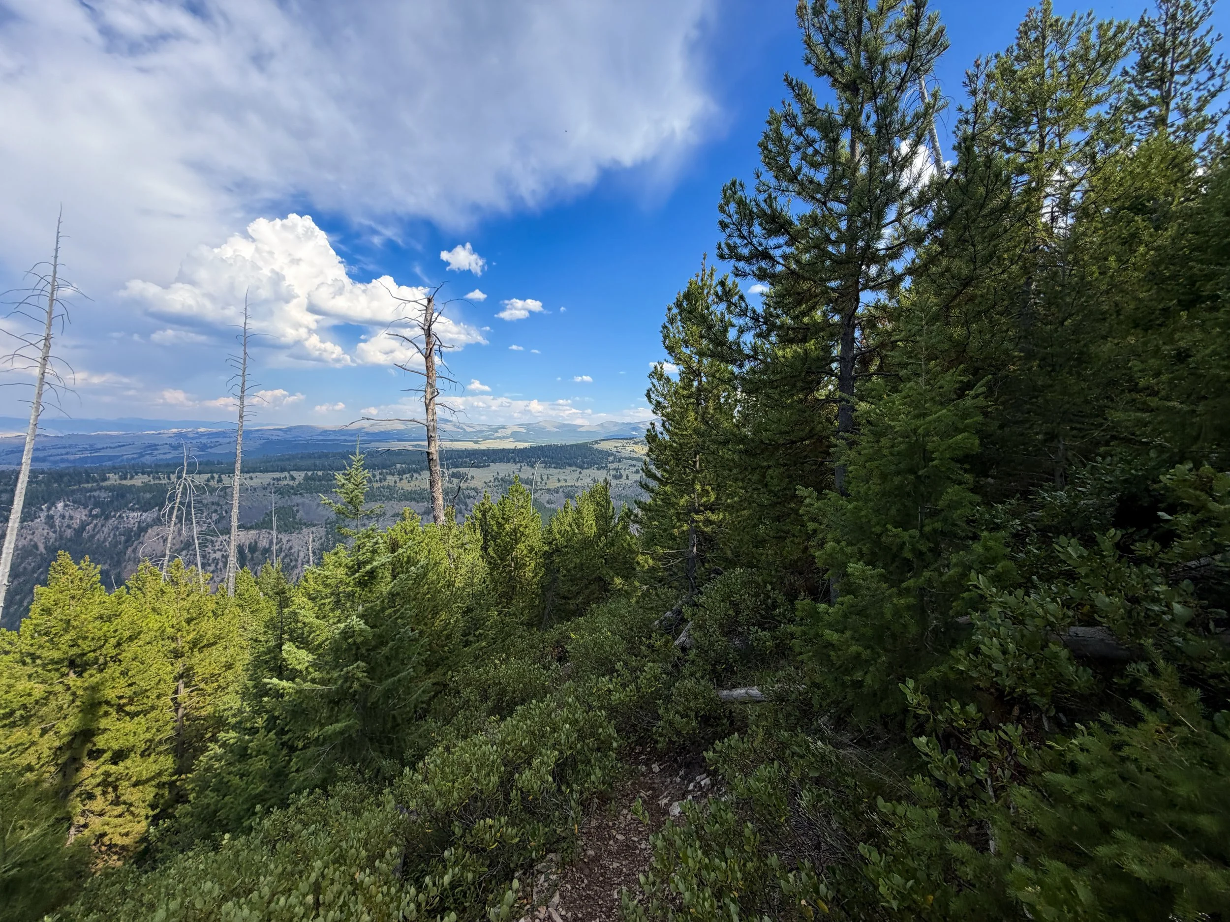 Bunsen Peak Trail Yellowstone National Park Wyoming