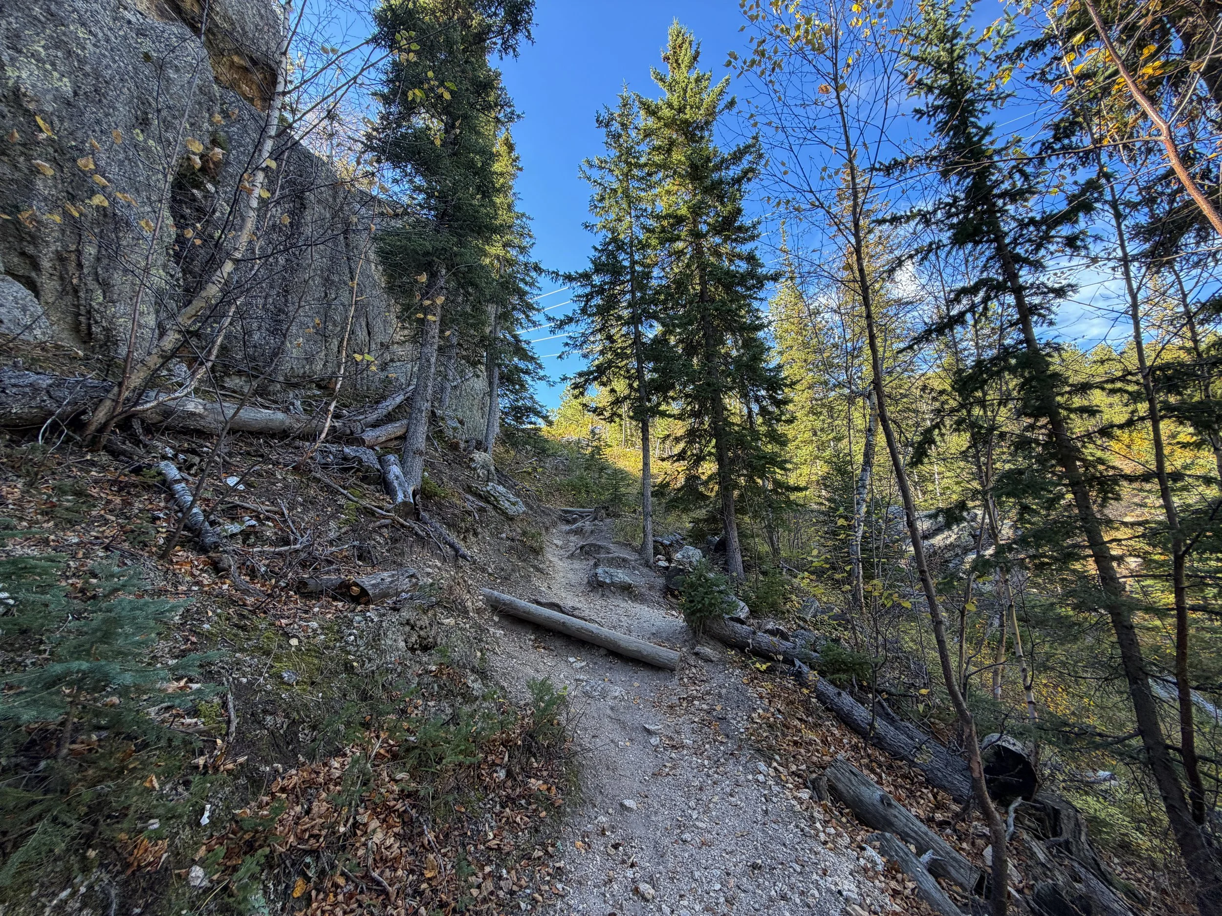 Sunday Gulch Loop Trail Custer State Park Black Hills South Dakota