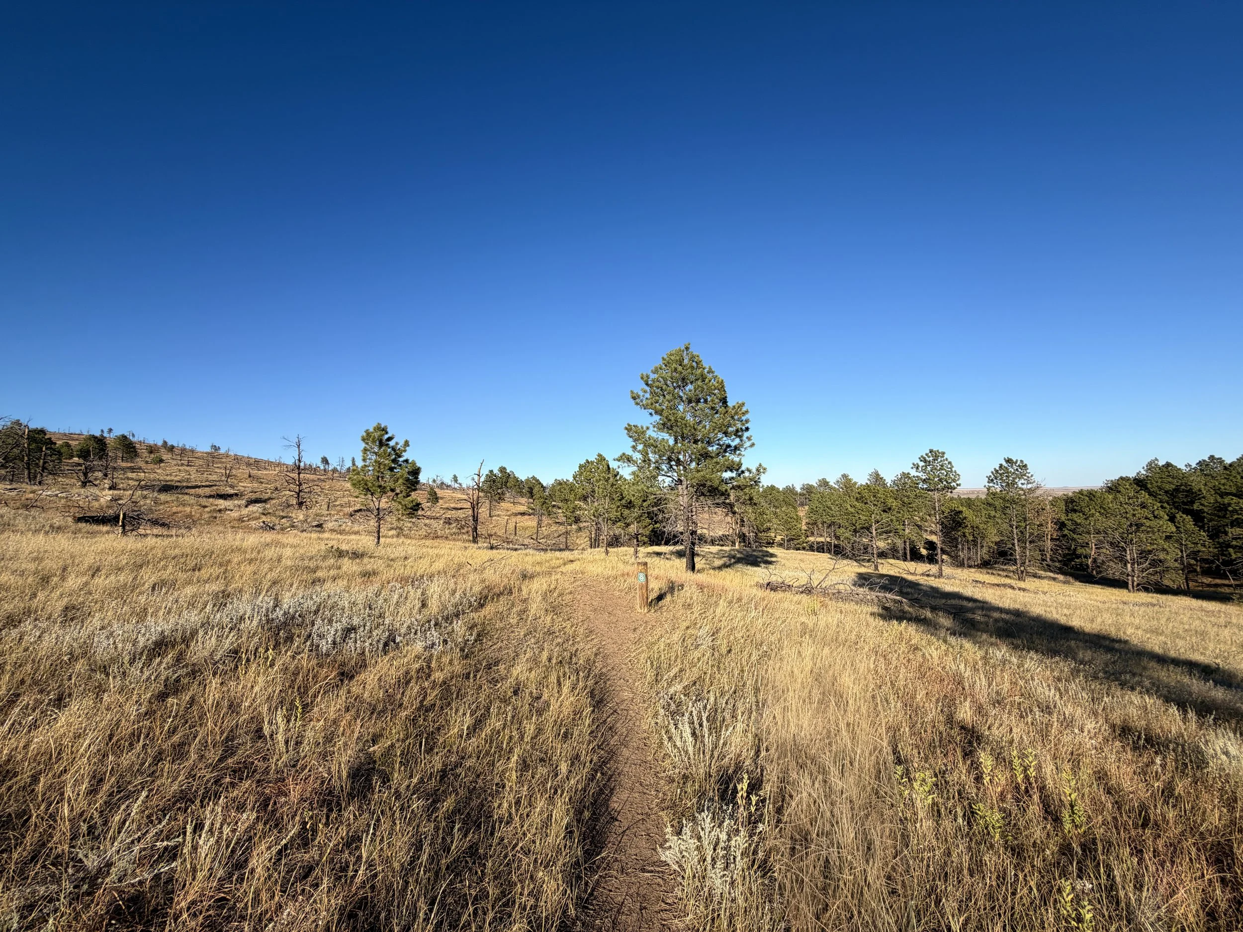 Boland Ridge Hike Wind Cave National Park South Dakota