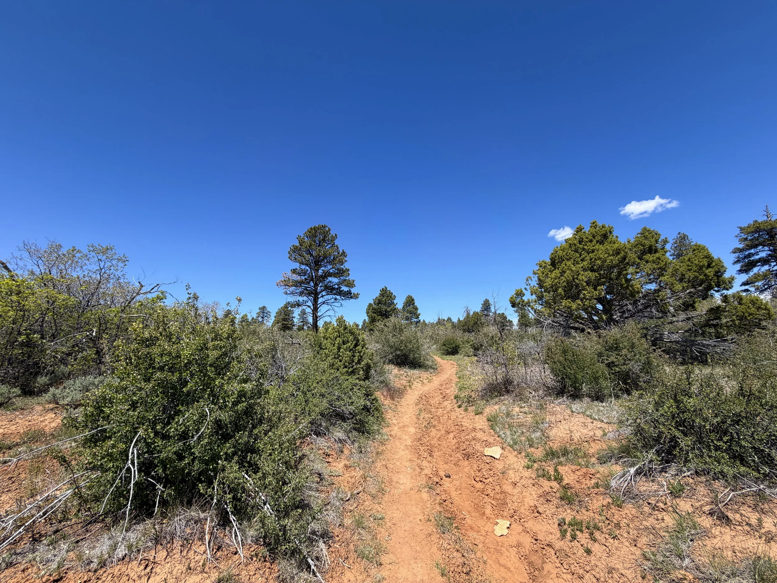 Cable Mountain Trail Zion National Park Utah