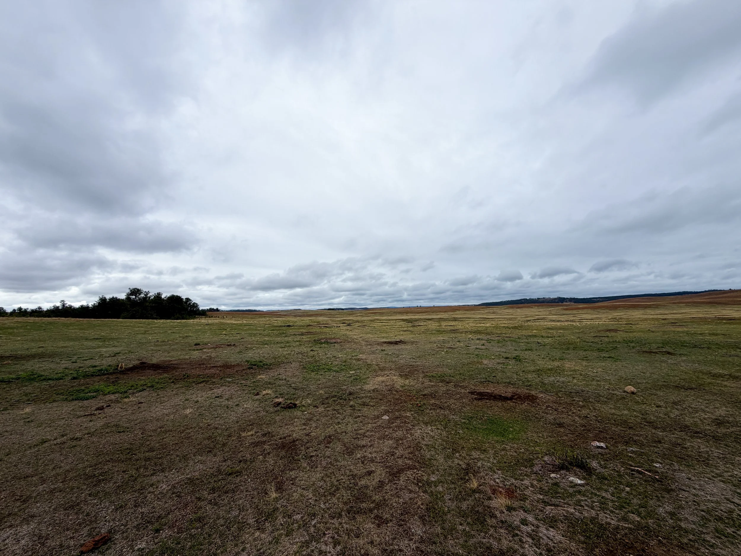 Highland Creek Trail Wind Cave National Park South Dakota