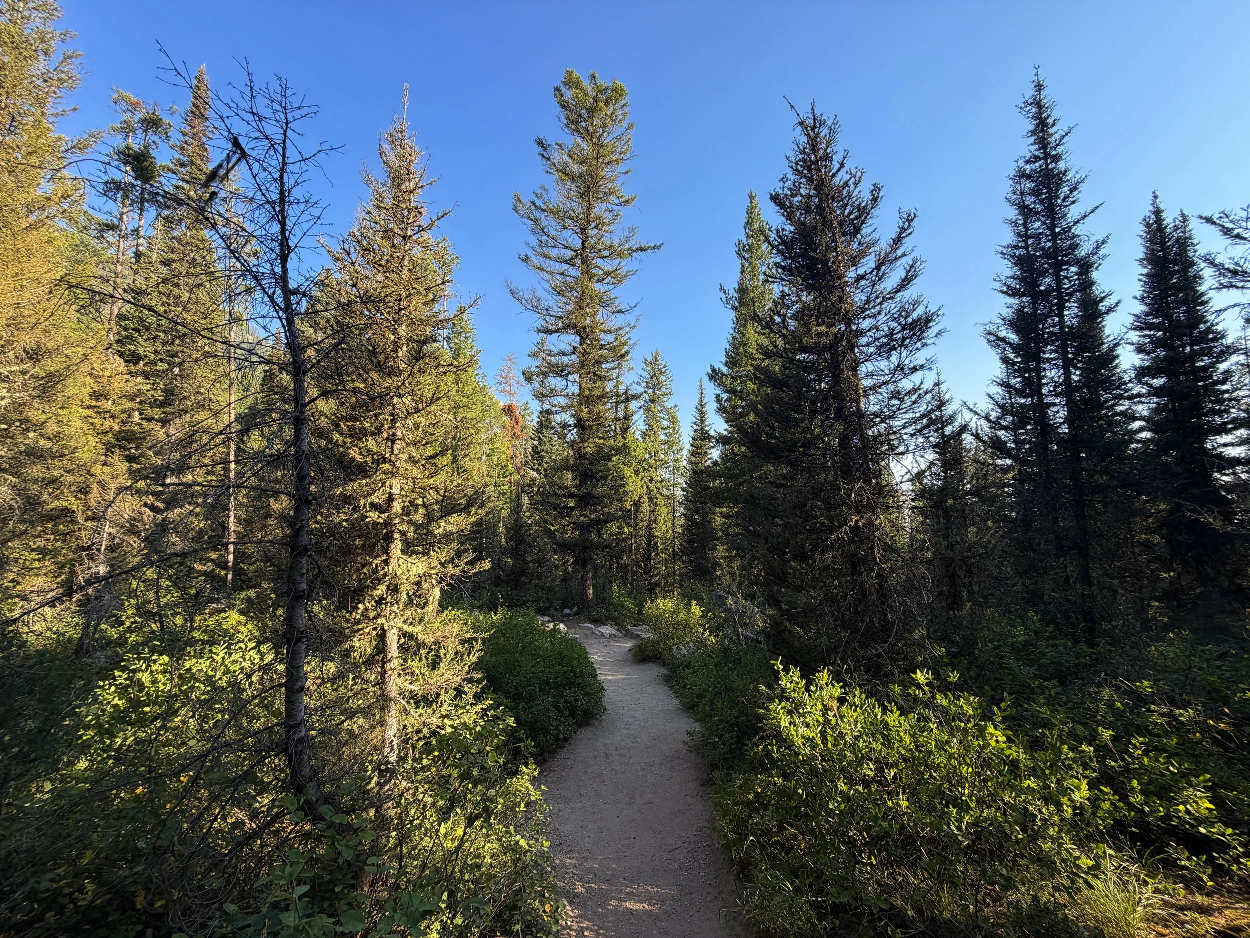 Hidden Falls via Jenny Lake Loop Trail Grand Teton National Park Wyoming