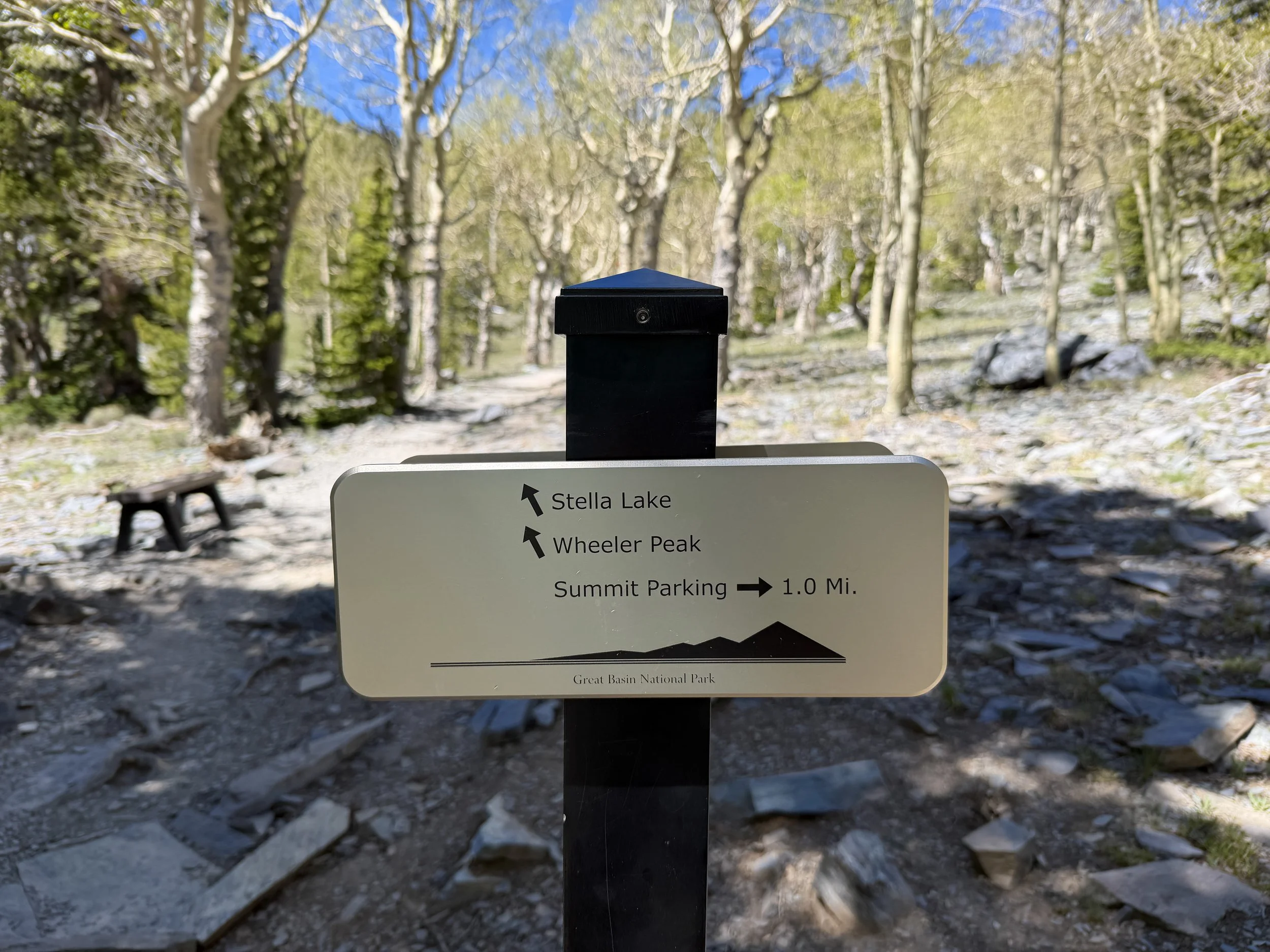 Wheeler Peak Trail Great Basin National Park Nevada
