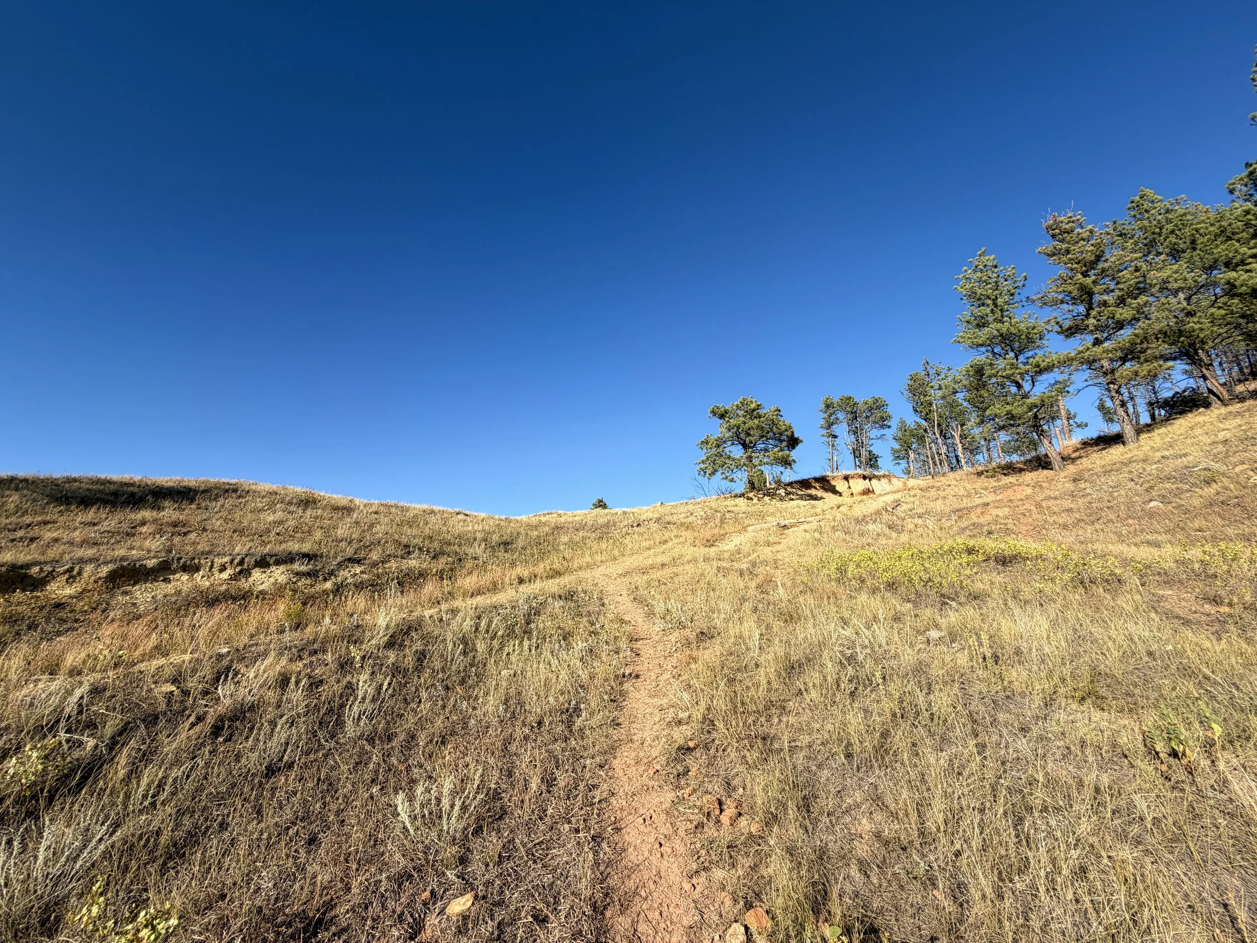 Boland Ridge Hike Wind Cave National Park South Dakota