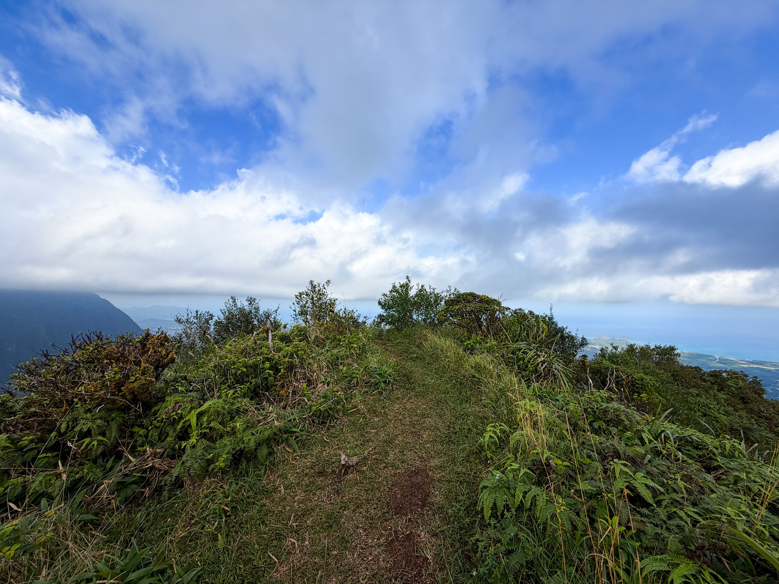 Puu Palikea Kaau Crater Trail Oahu Hawaii