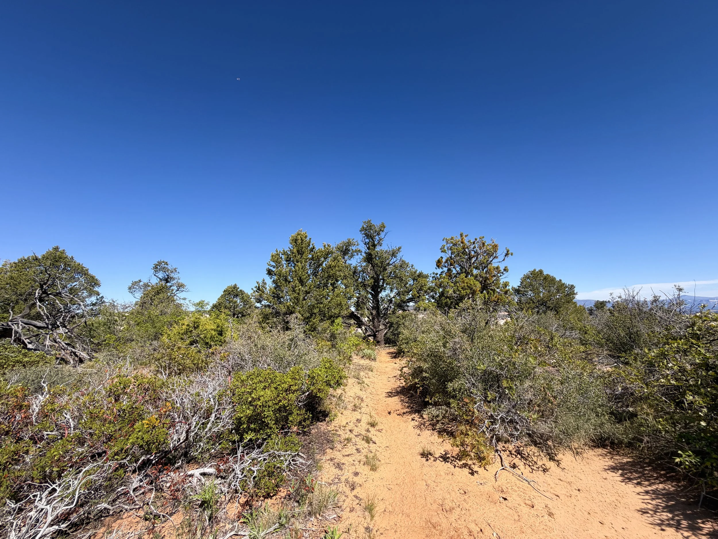 Deertrap Mountain Trail Zion National Park Utah