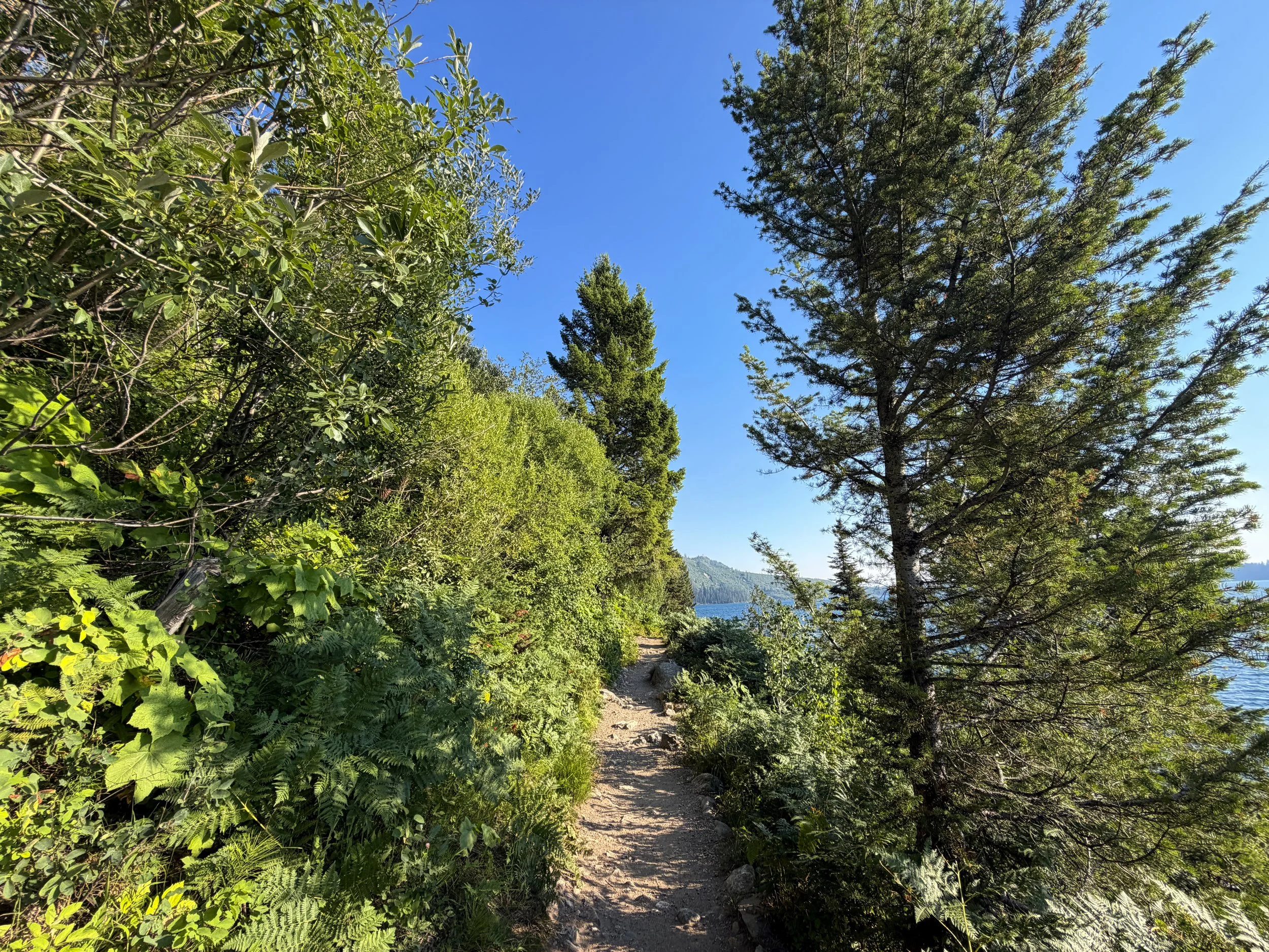 Hidden Falls Trail Grand Teton National Park Wyoming