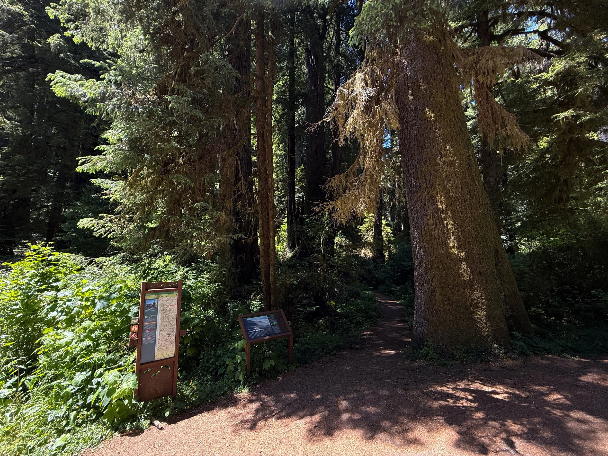 Ossagon Trailhead Prairie Creek Redwoods State Park California