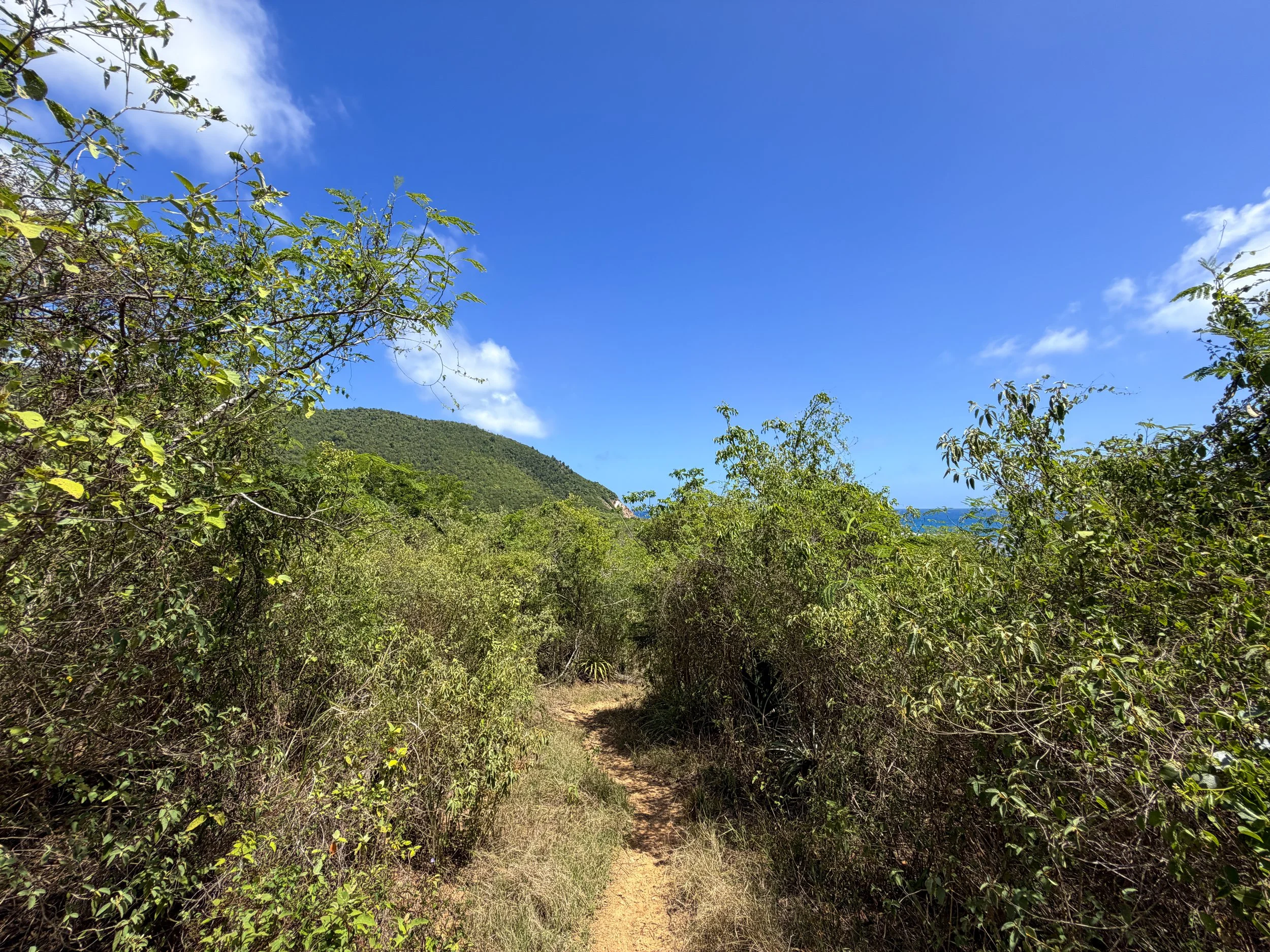 L'Esperance Trail to Reef Bay Virgin Islands National Park