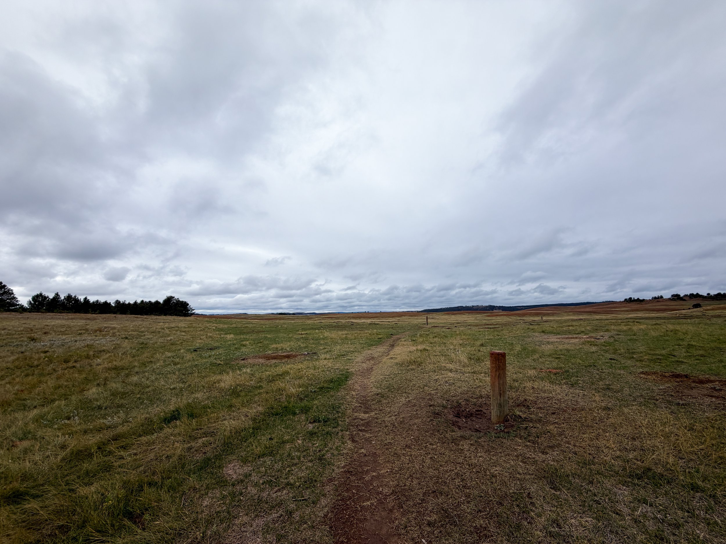 Highland Creek to Lookout Point Trail Wind Cave National Park South Dakota