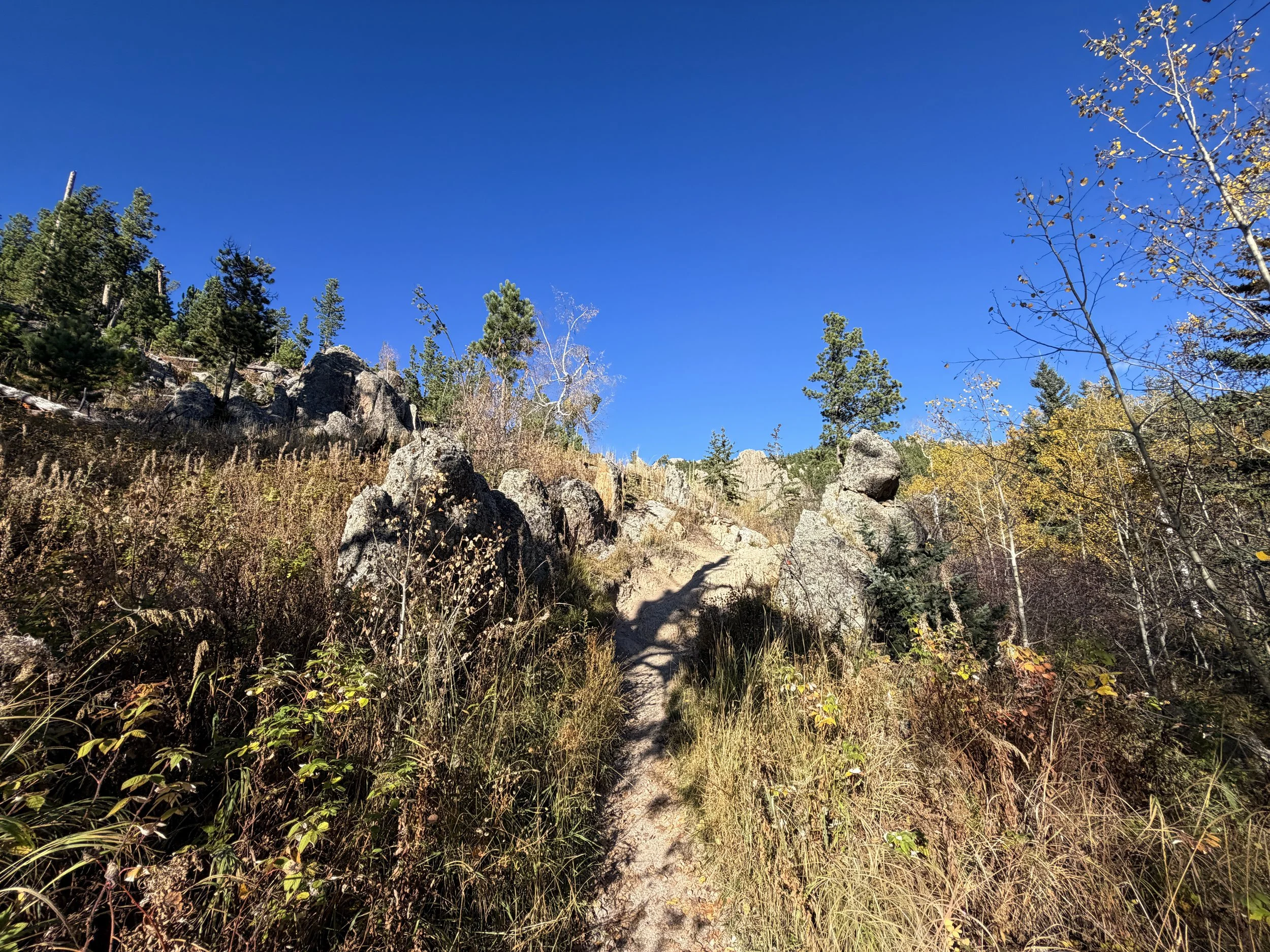 Little Devils Tower Hike Custer State Park Black Hills South Dakota