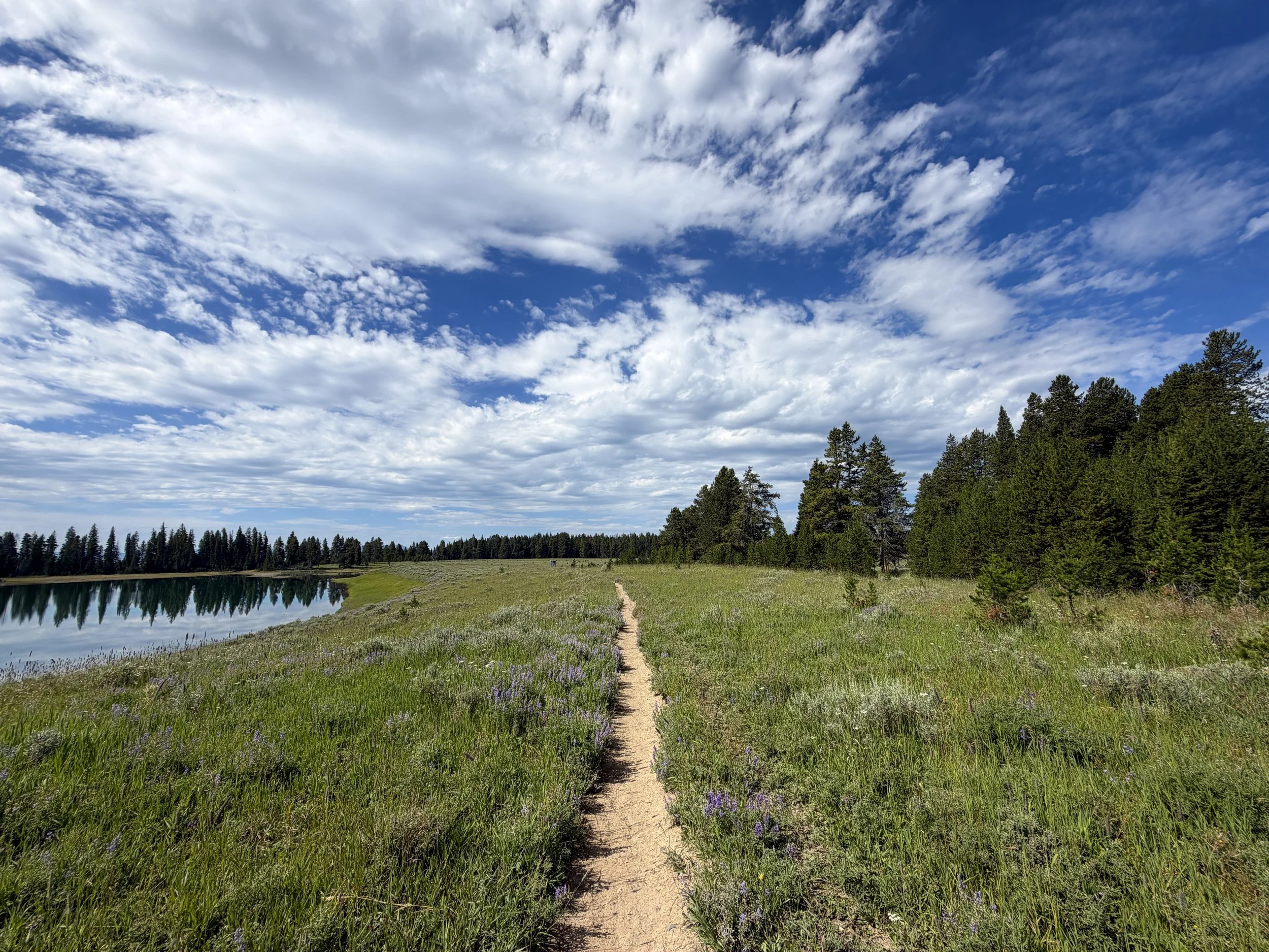 Storm Point Trail Yellowstone National Park Wyoming