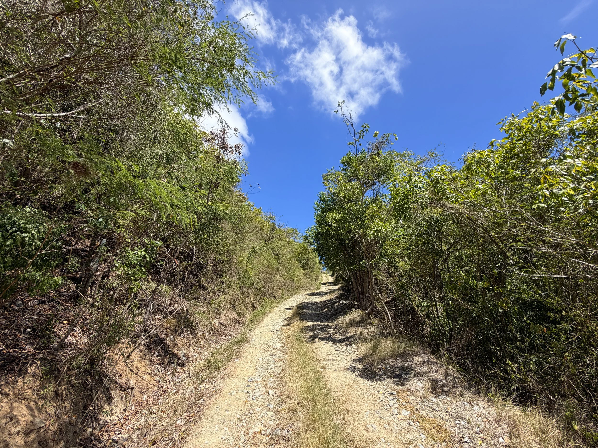 Johnny Horn Trail Virgin Islands National Park