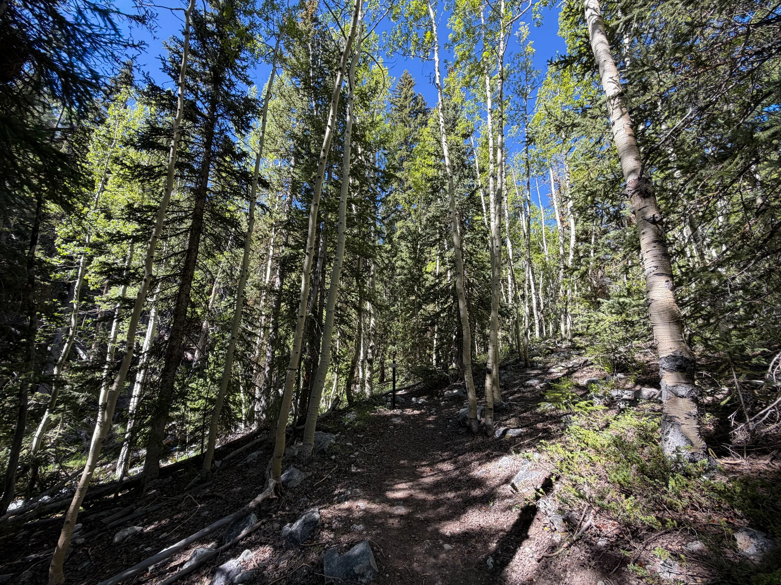 Baker Lake Trail Great Basin National Park Nevada