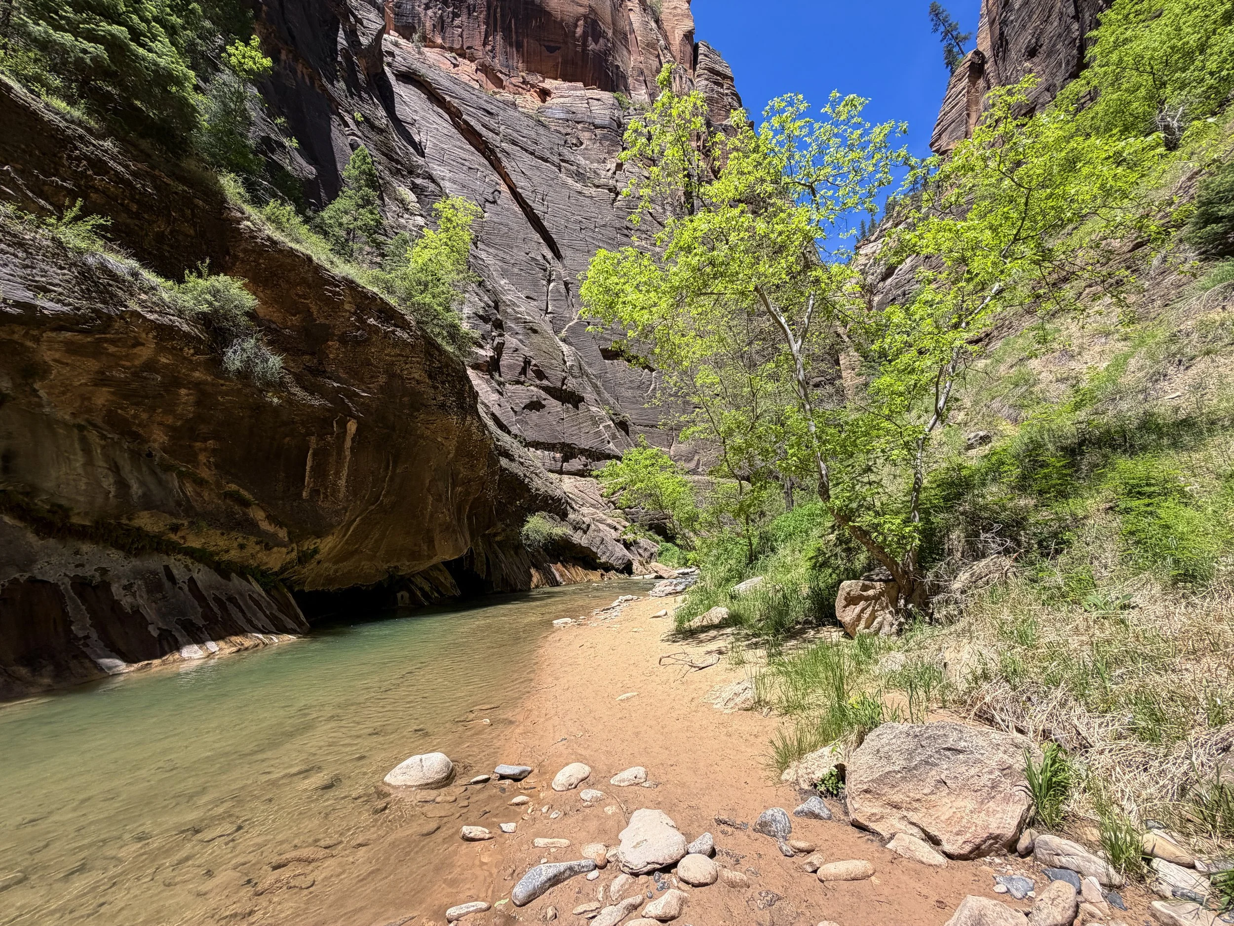 Narrows Hike Zion National Park Utah