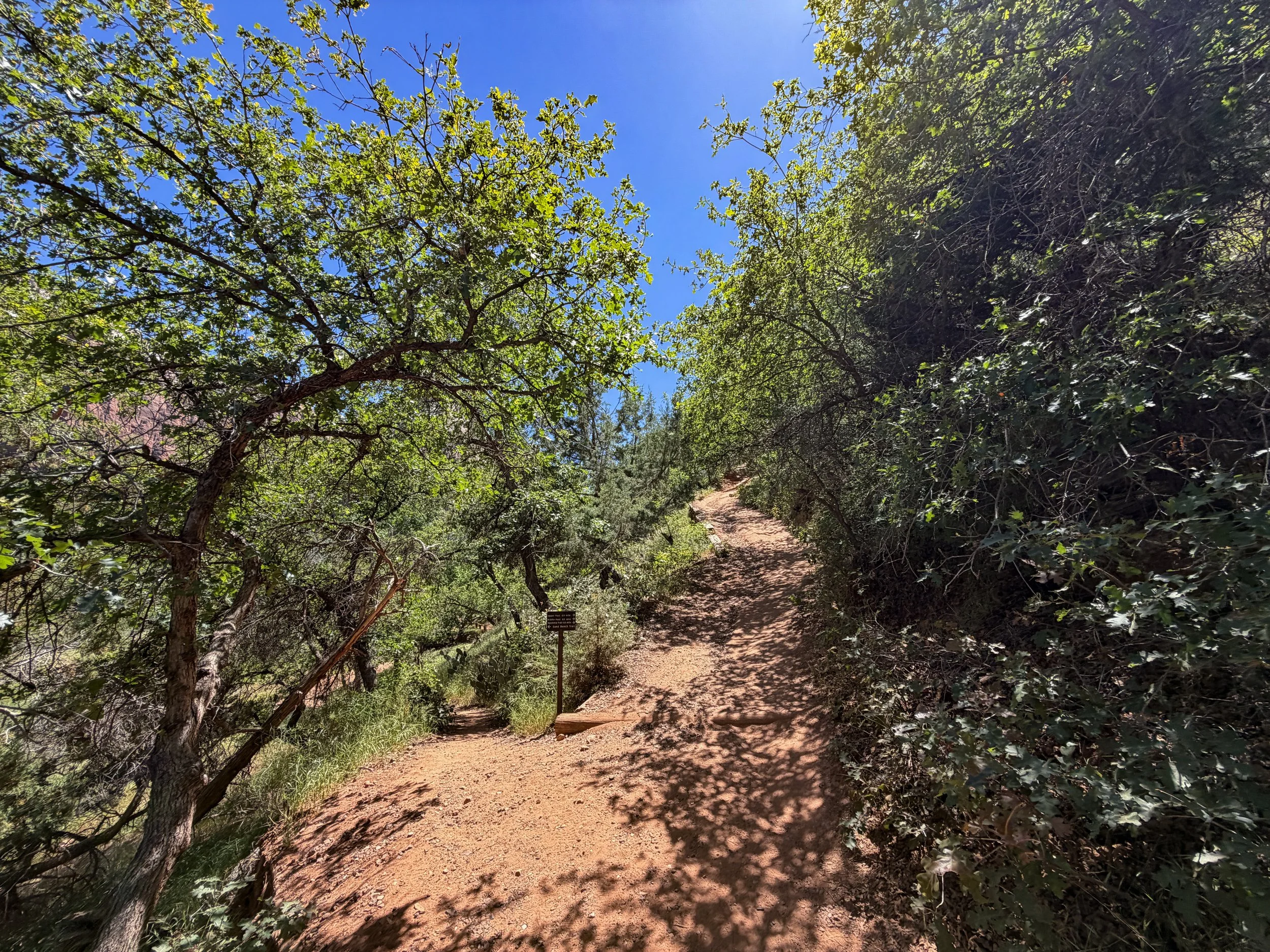 Sand Bench Trail via Emerald Pools Trail Zion National Park Utah