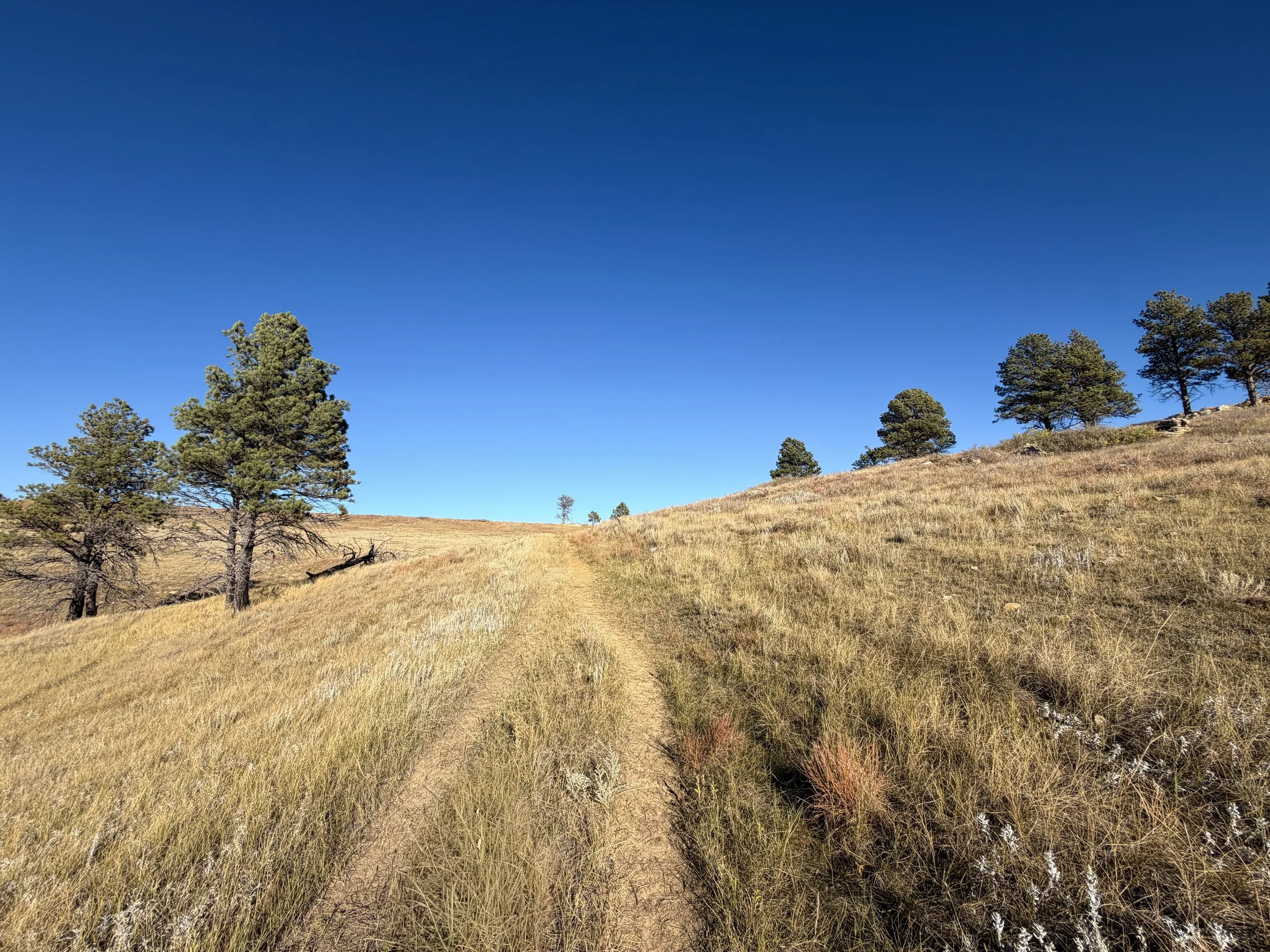 Boland Ridge Hike Wind Cave National Park South Dakota