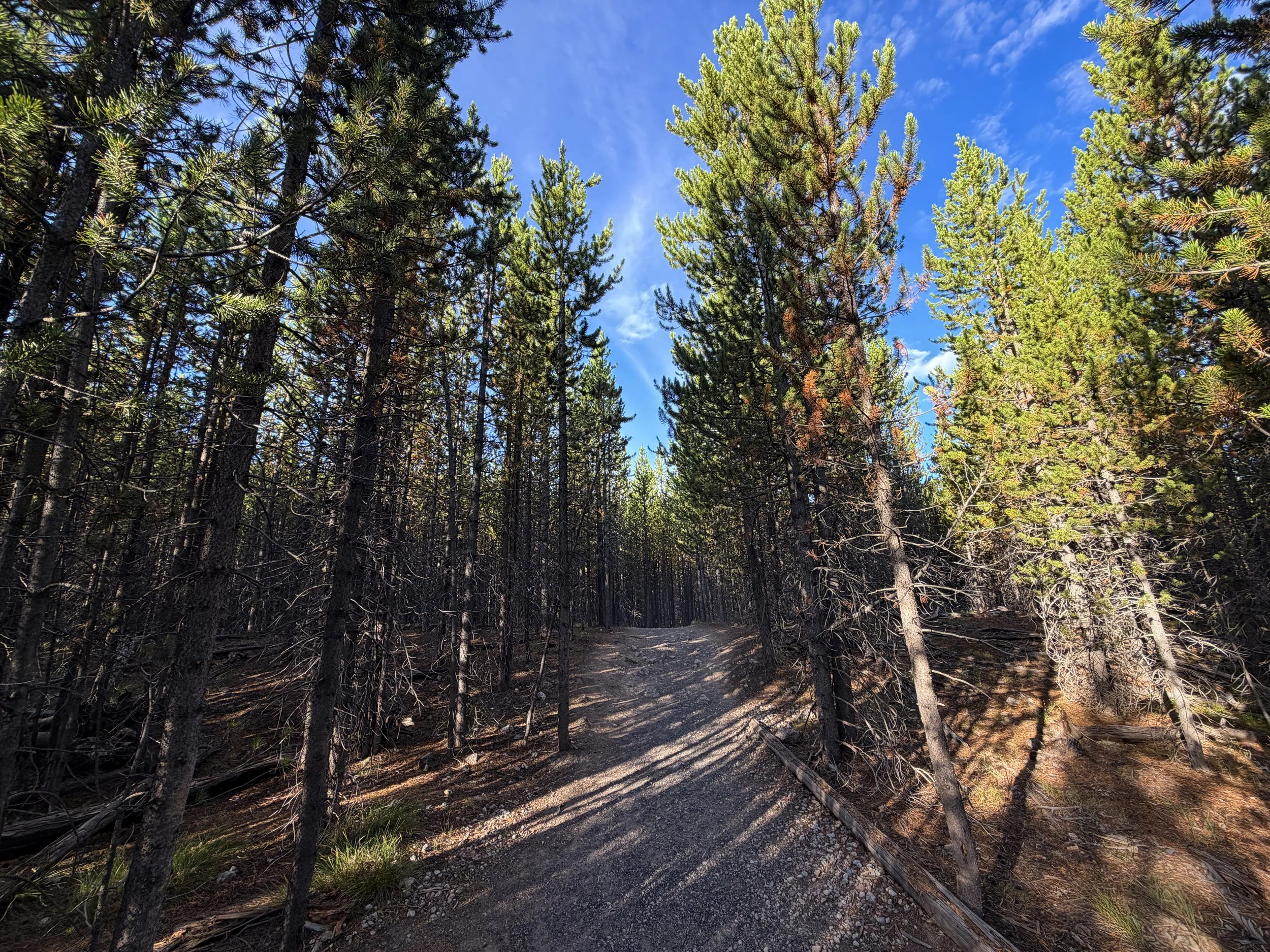 Fairy Falls Hike Yellowstone National Park Wyoming