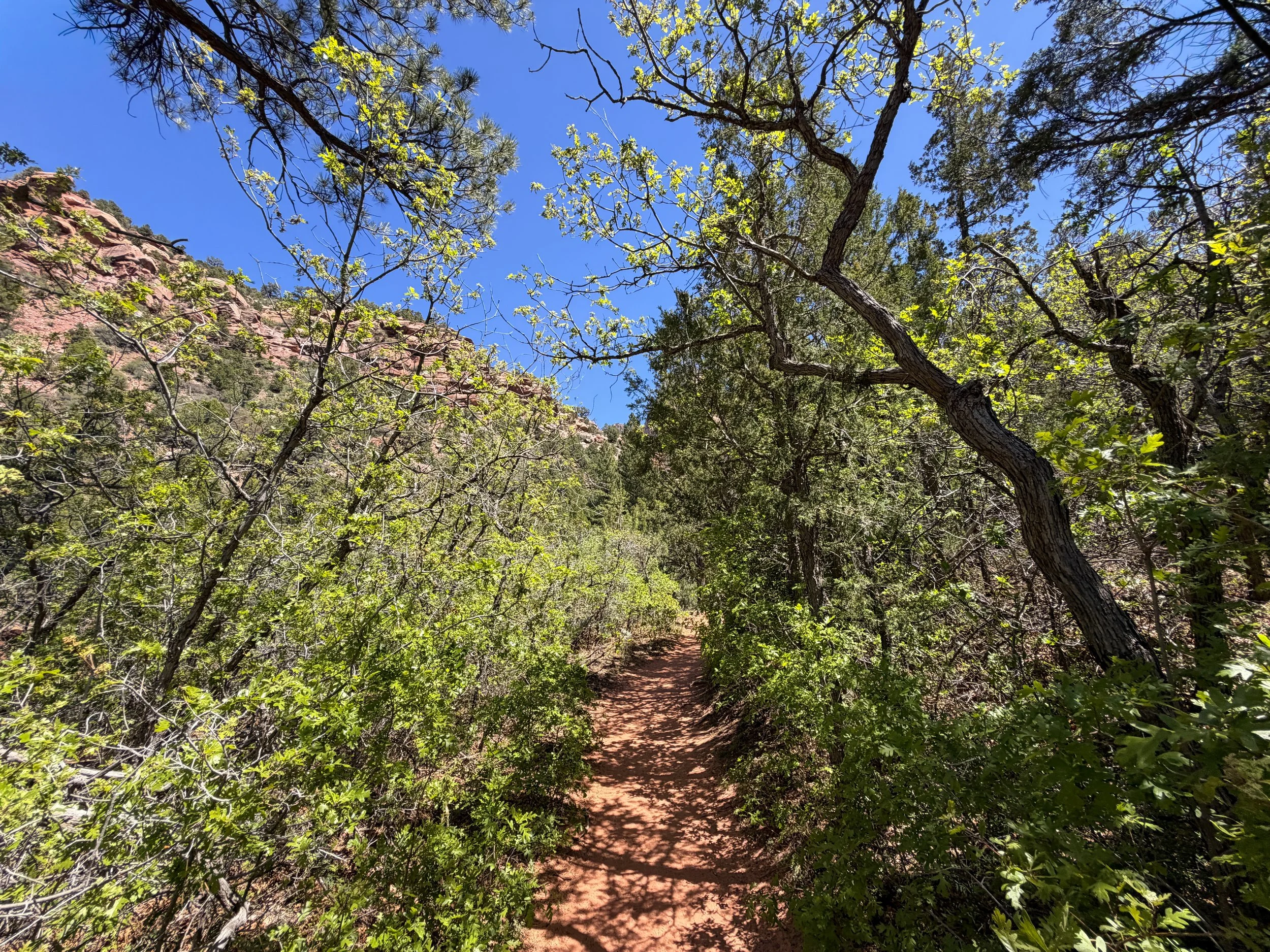 Middle Taylor Creek Hike Zion National Park Utah
