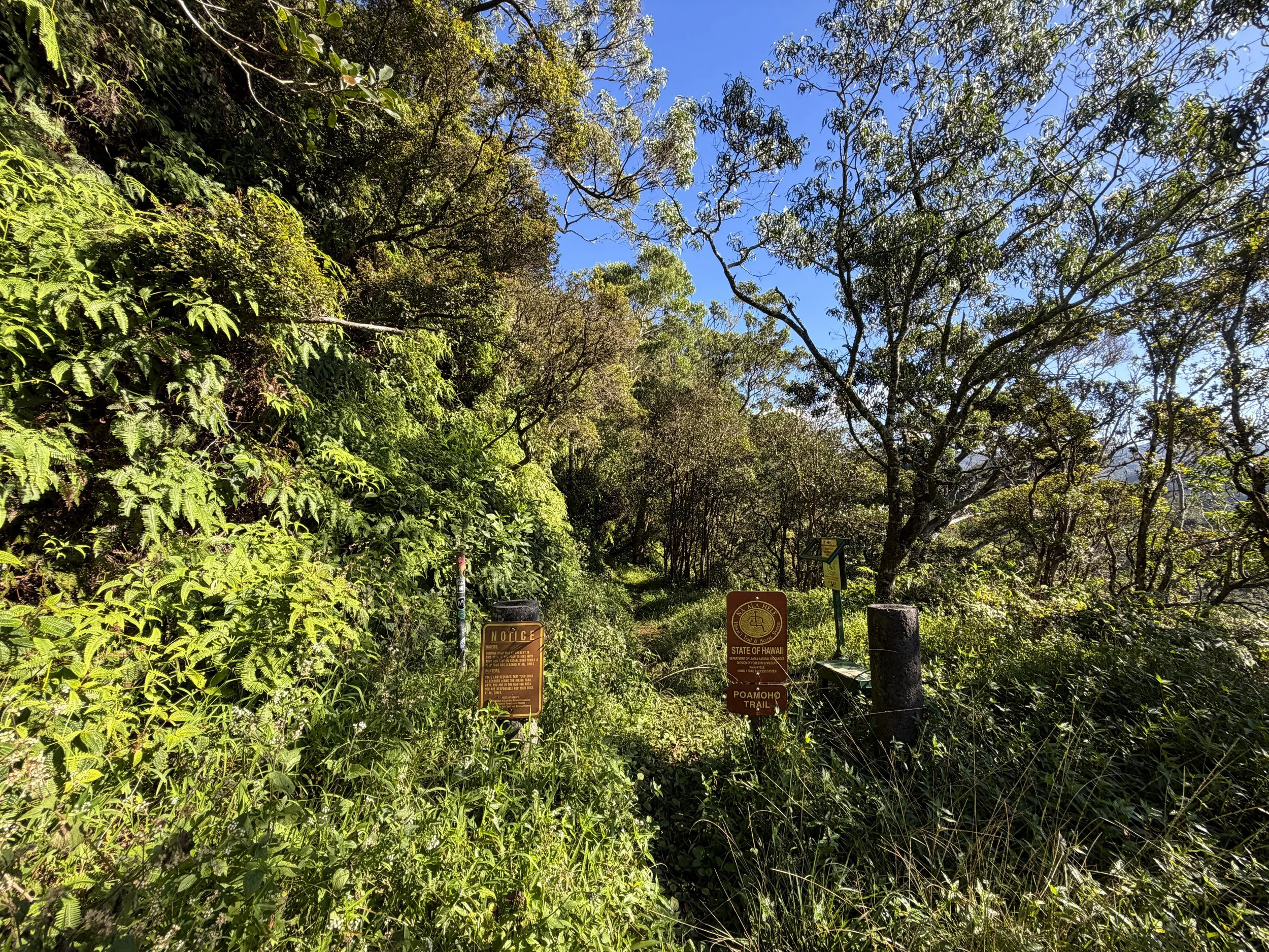 Poamoho Trailhead Oahu Hawaii