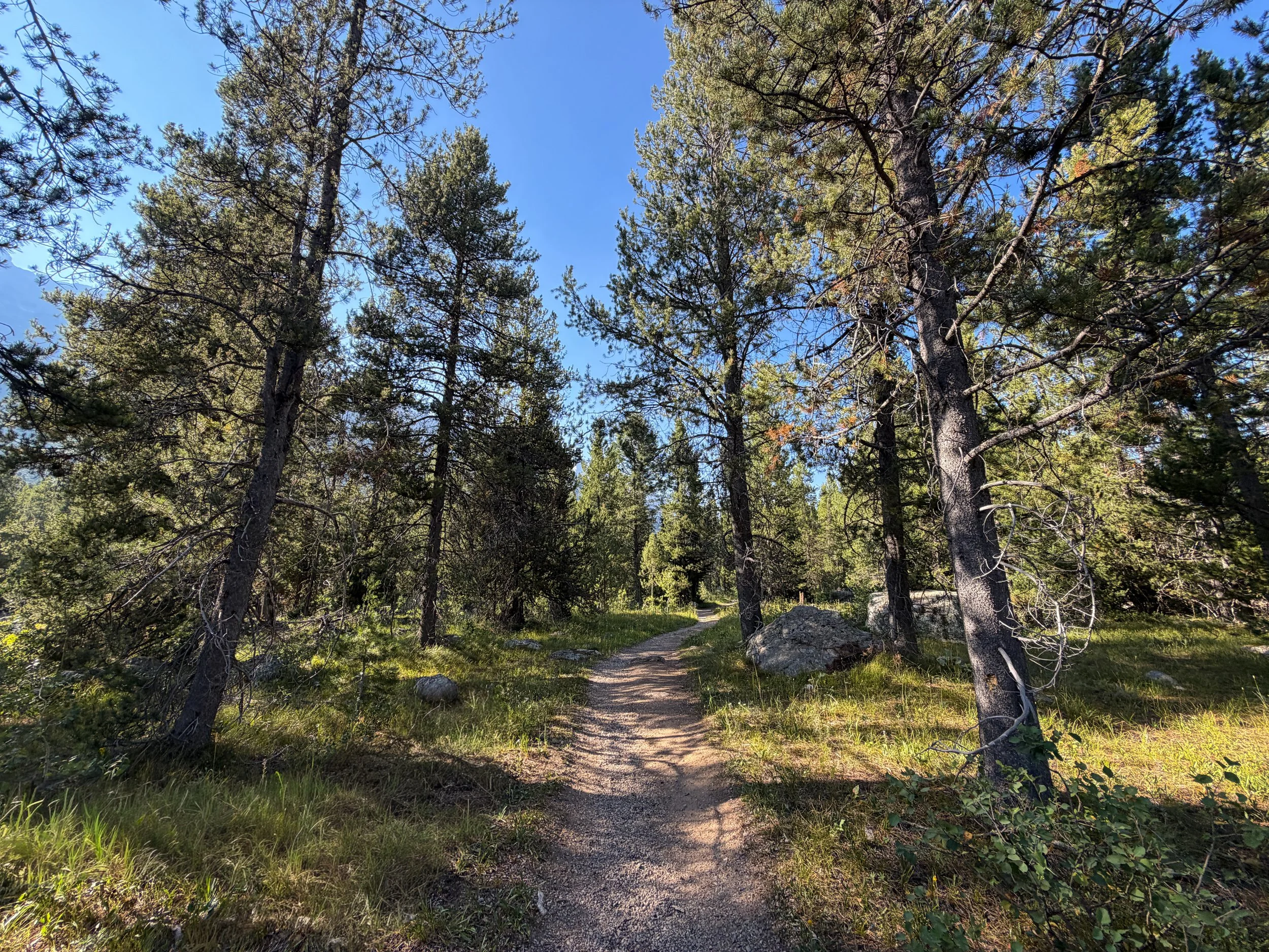 Moose Ponds Loop Trail Grand Teton National Park Wyoming