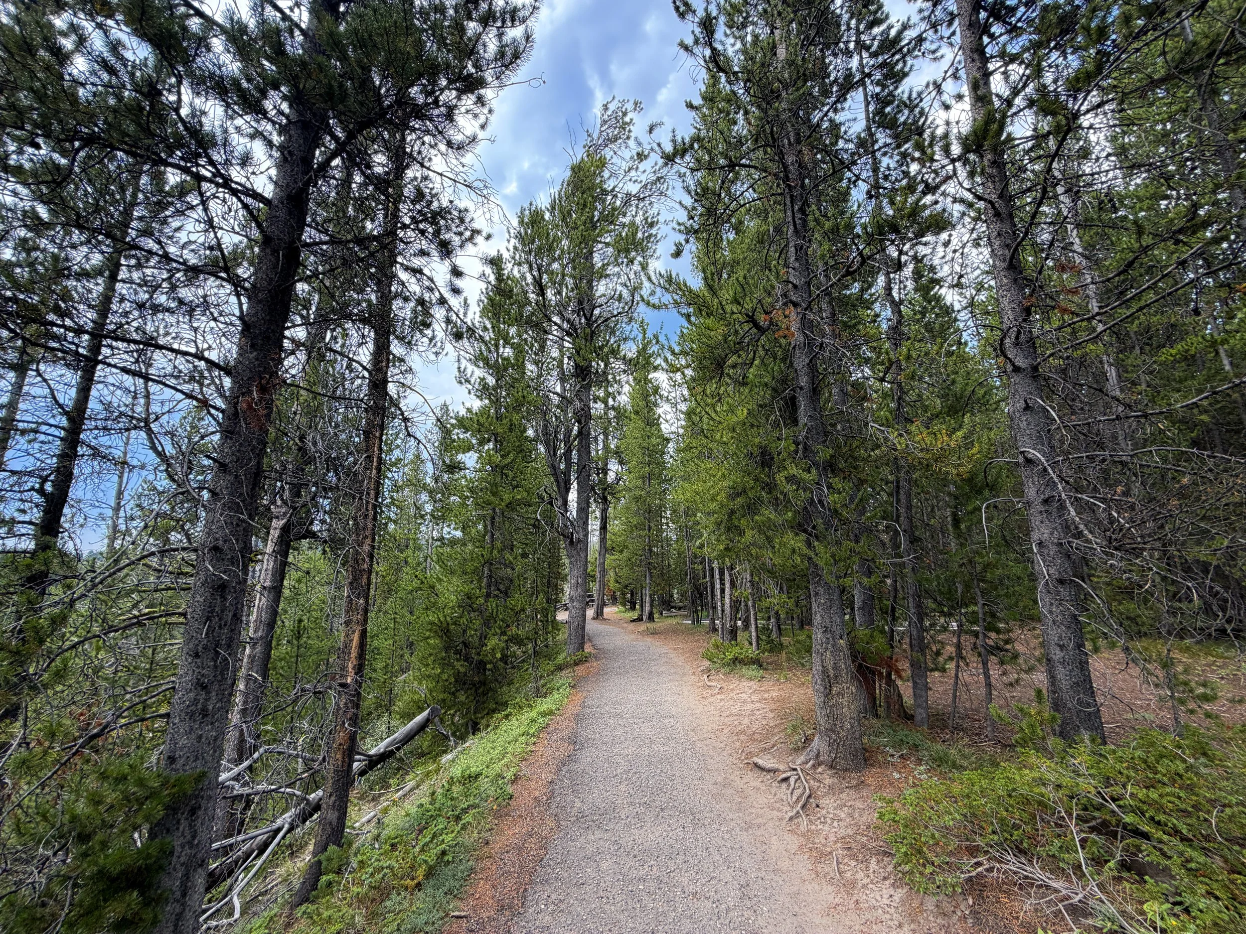 South Rim Hike Yellowstone National Park Wyoming