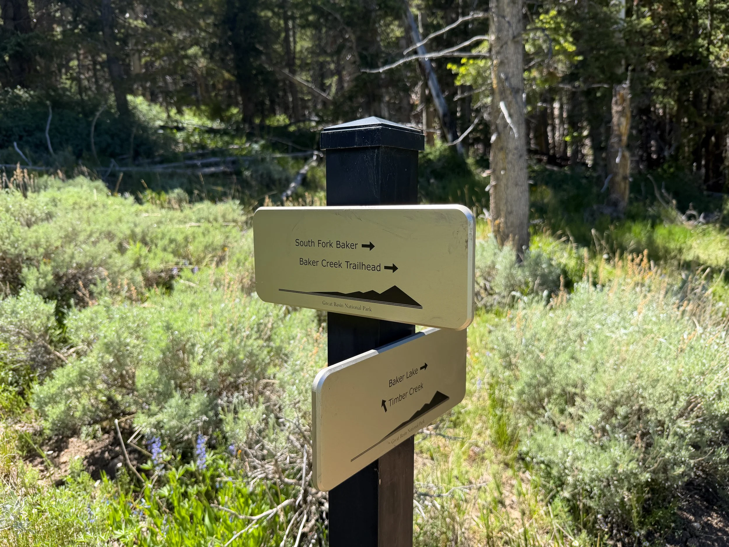 Baker Creek Loop Trail Great Basin National Park Nevada