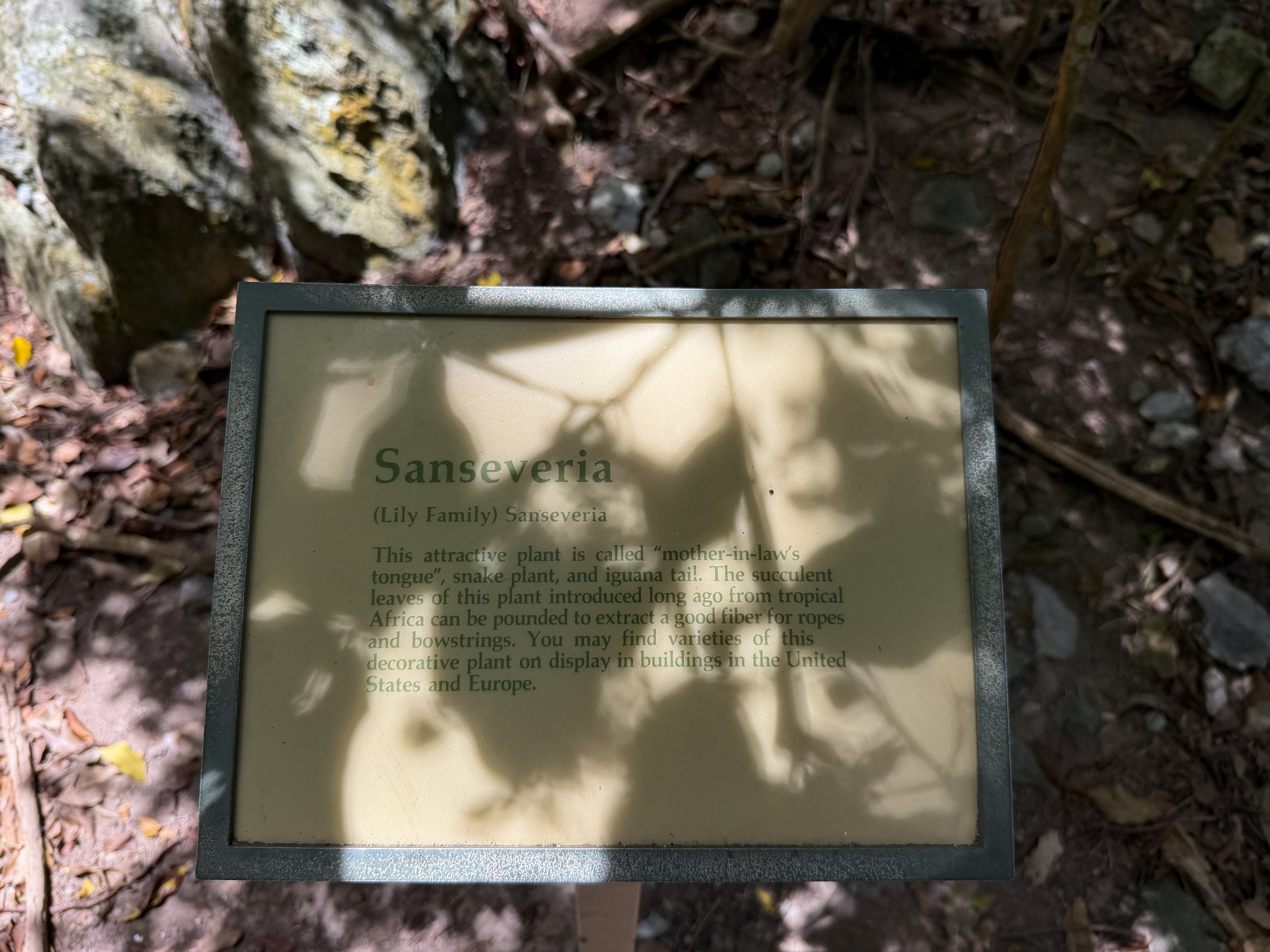 Reef Bay Trail Virgin Islands National Park