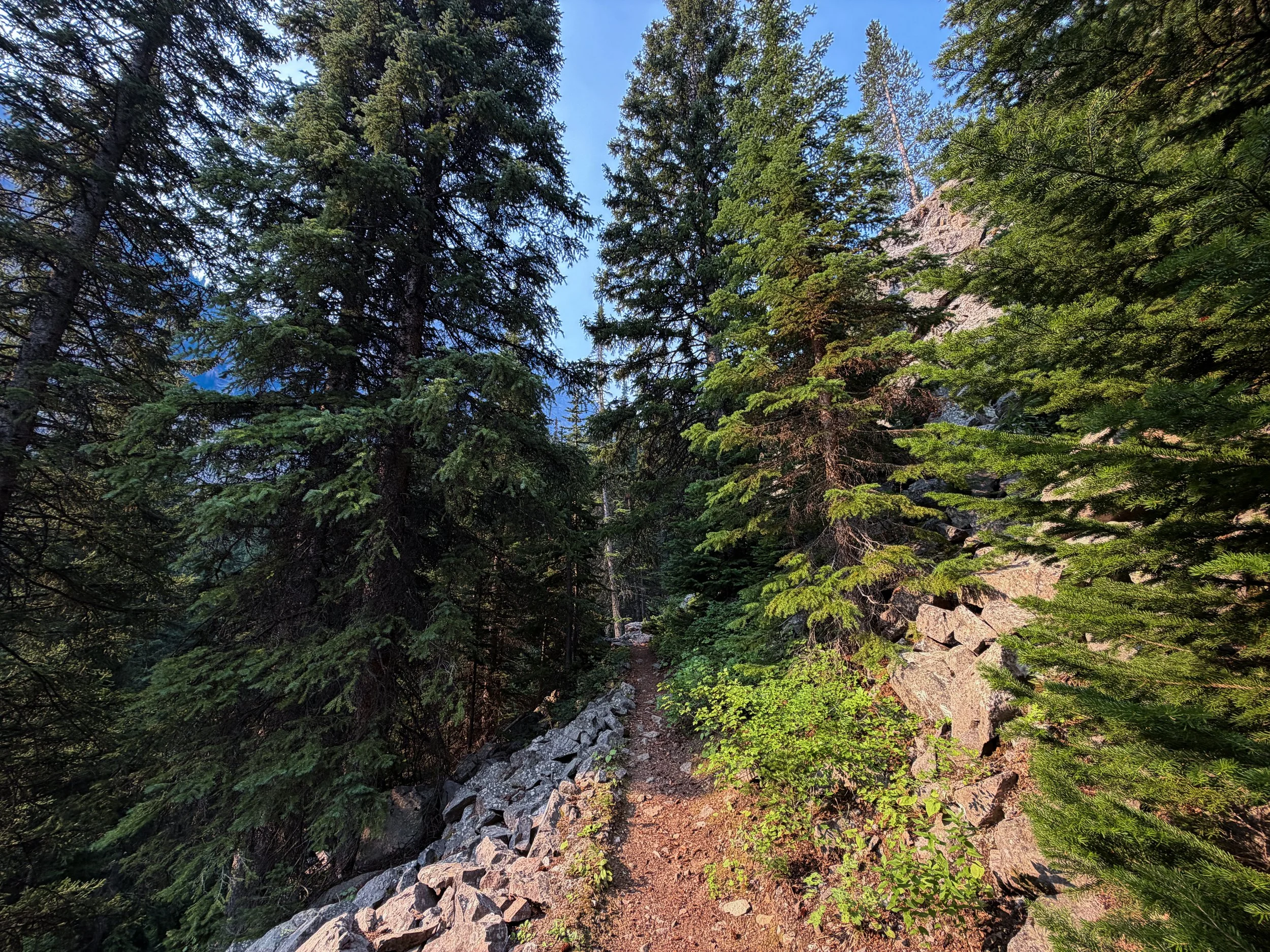 Beaten Path Trail Beartooth Mountains Montana
