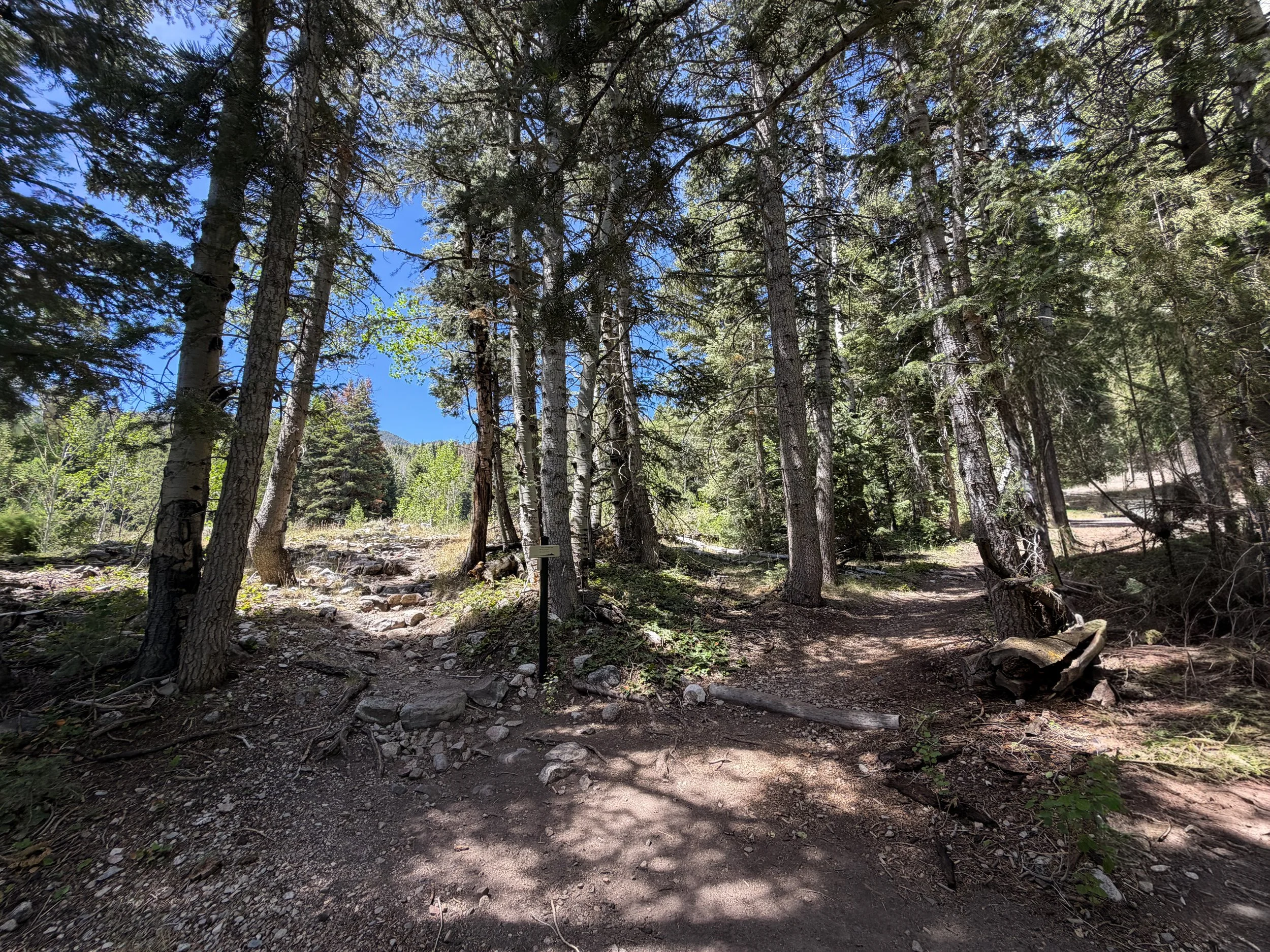 Timber Creek Loop Trail Great Basin National Park Nevada